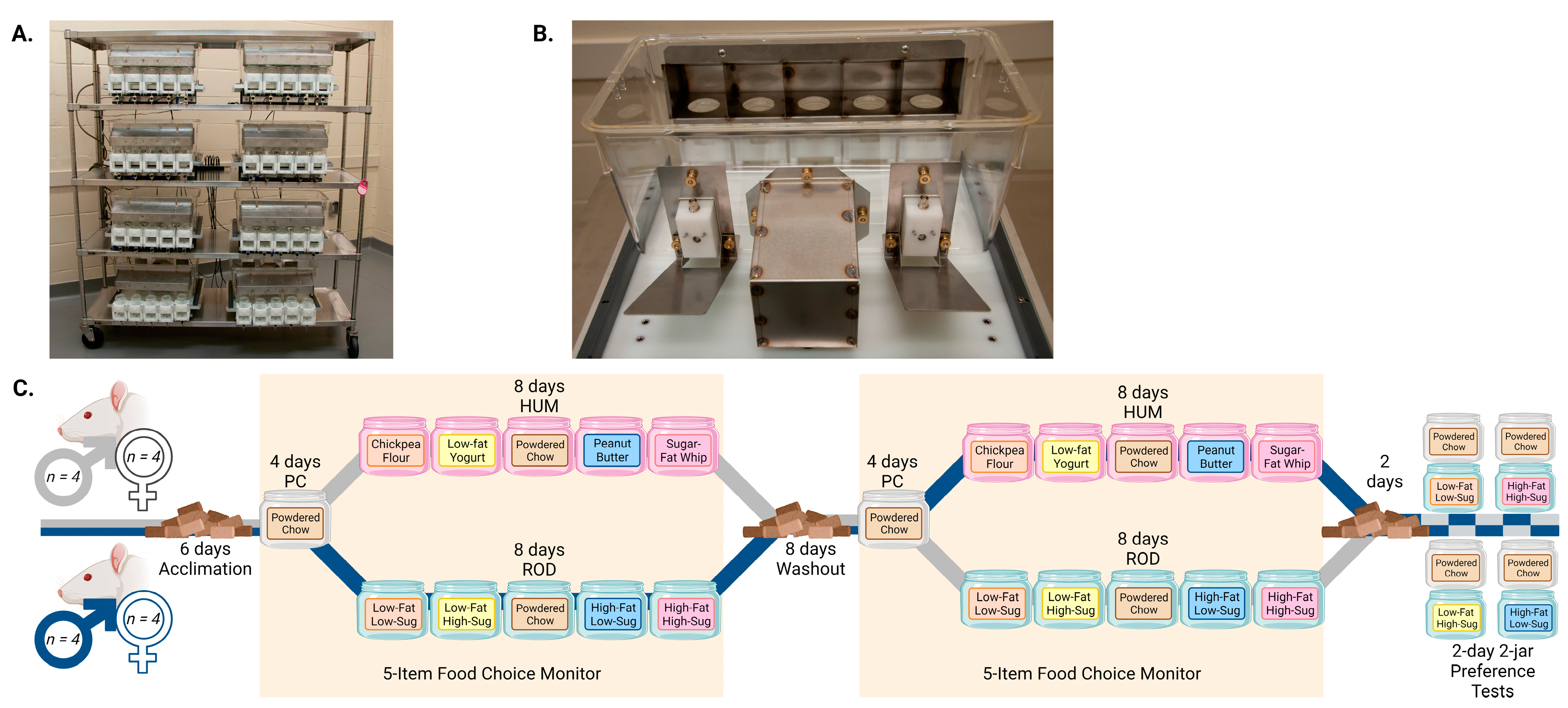 Nutrients 15 05093 g001