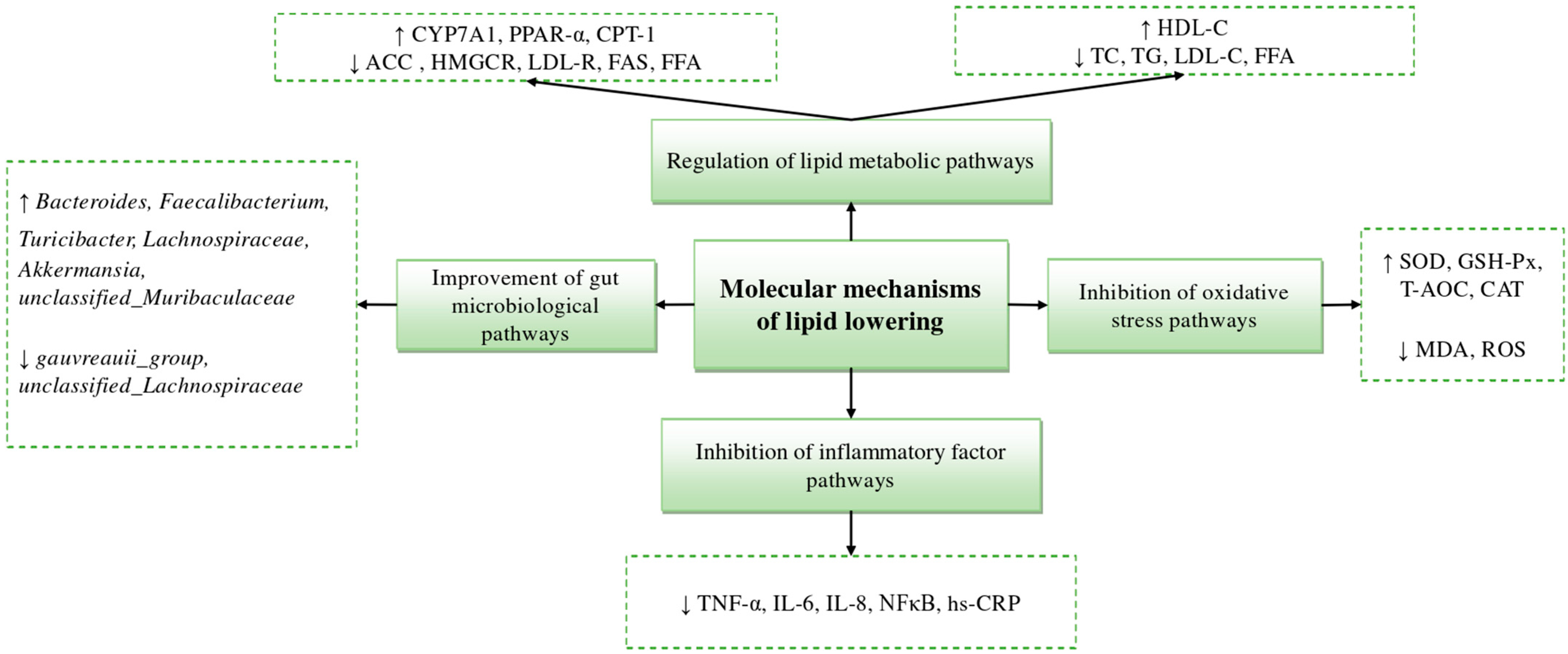 Nutrients 15 05118 g006