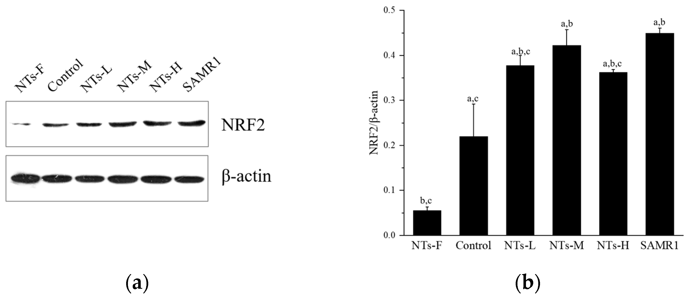 Nutrients 15 05130 g004