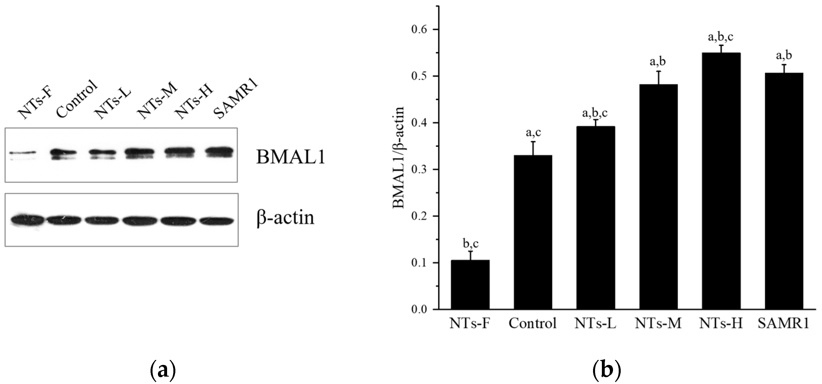 Nutrients 15 05130 g005