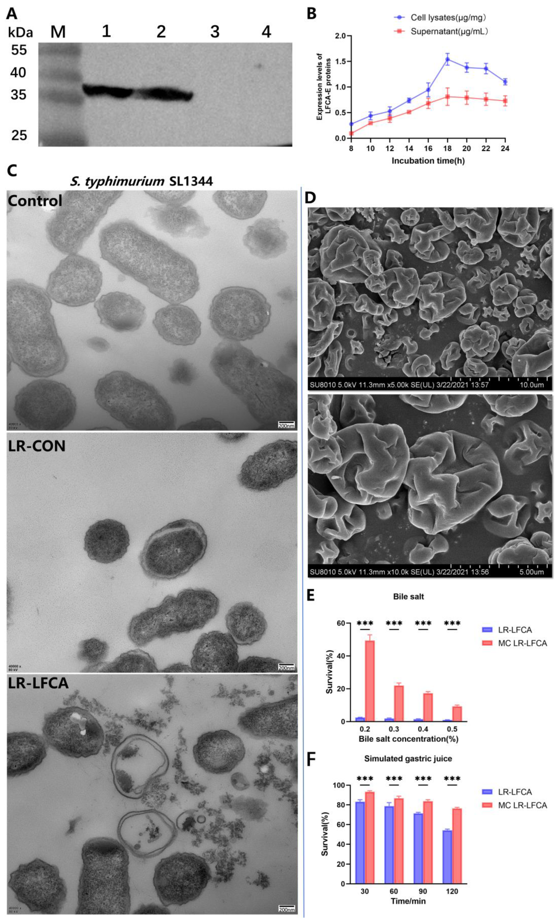 Nutrients 15 05141 g001