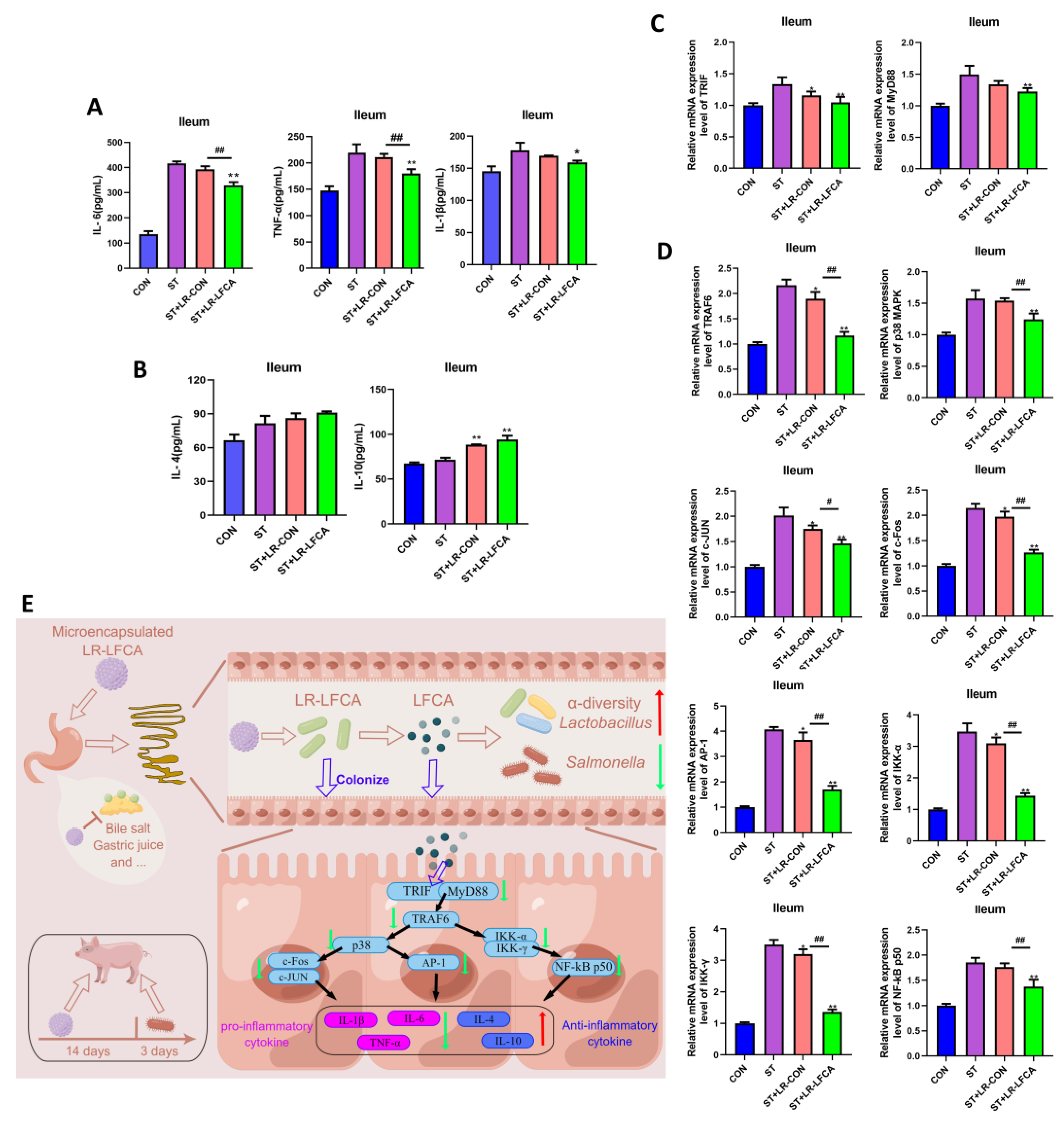 Nutrients 15 05141 g005