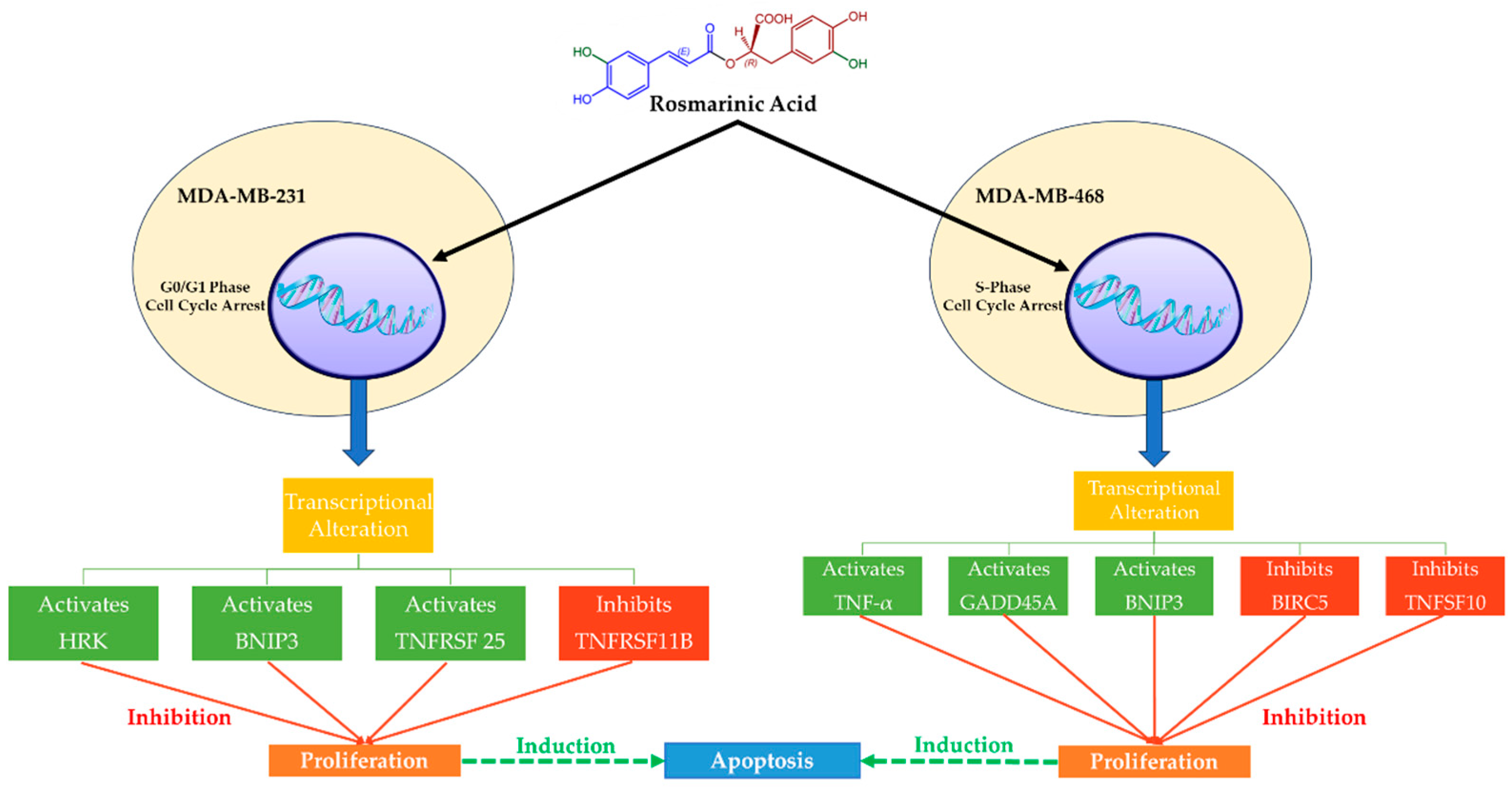 Nutrients 16 00002 g003