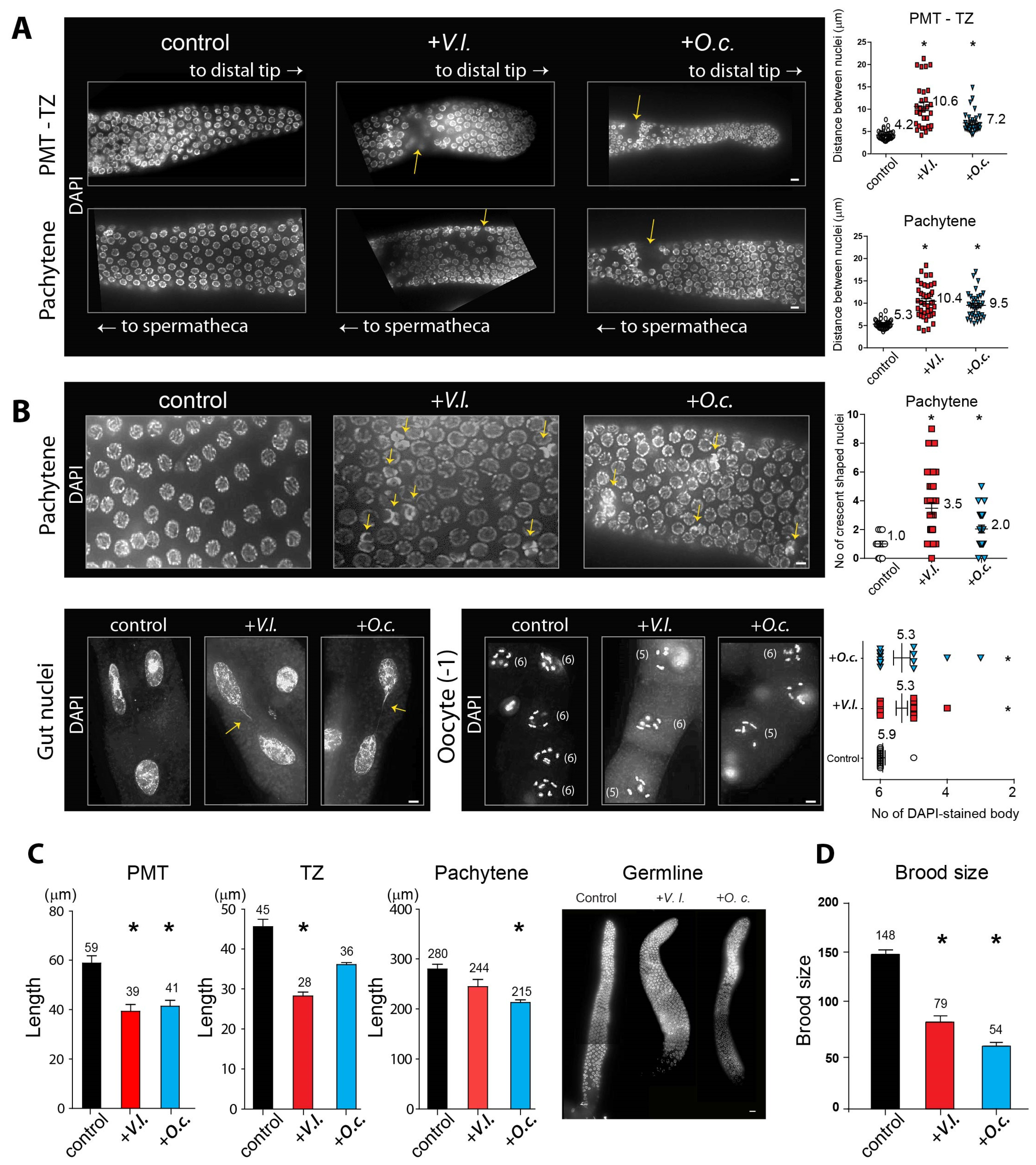 Nutrients 16 00008 g002 Nutrients 16 00008 g002