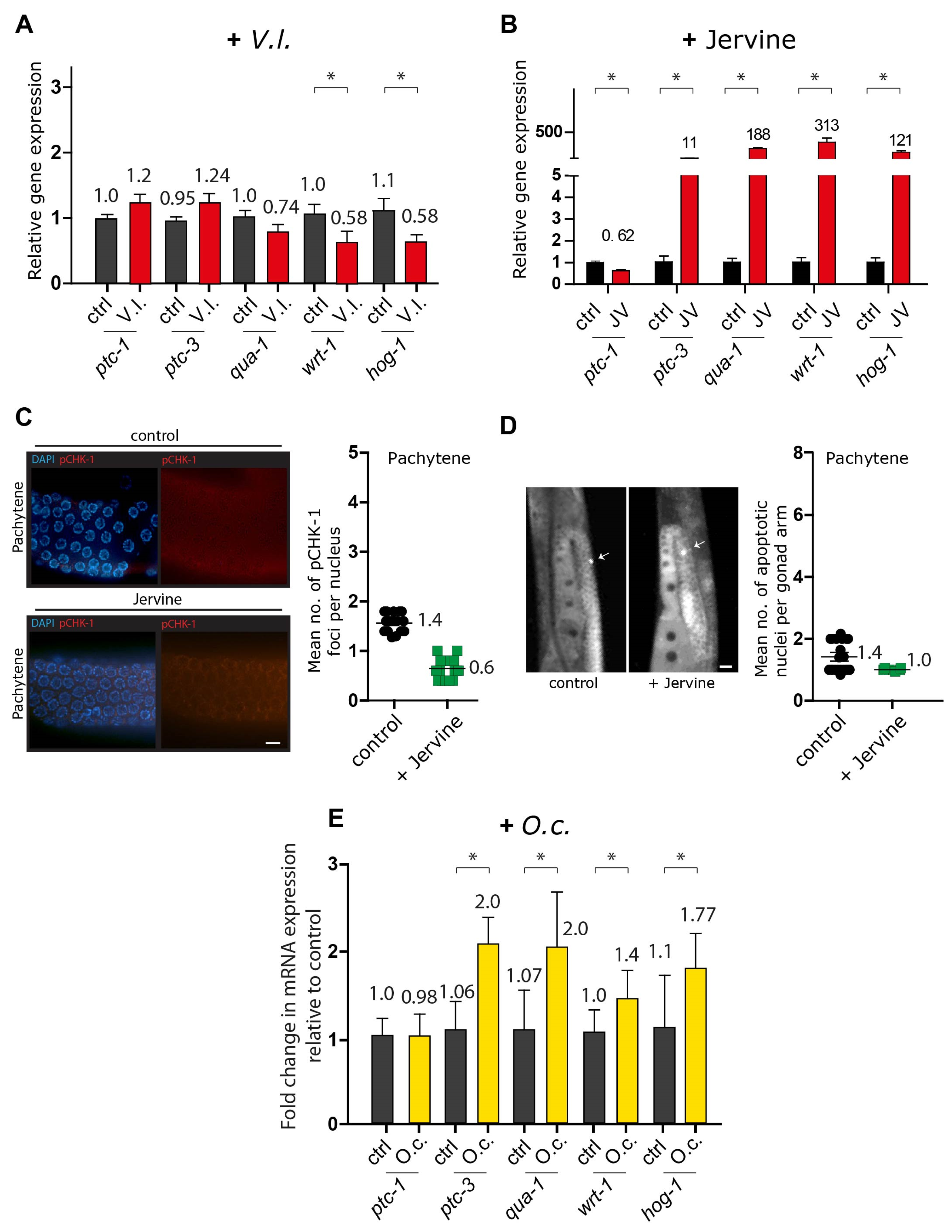 Nutrients 16 00008 g005 Nutrients 16 00008 g005