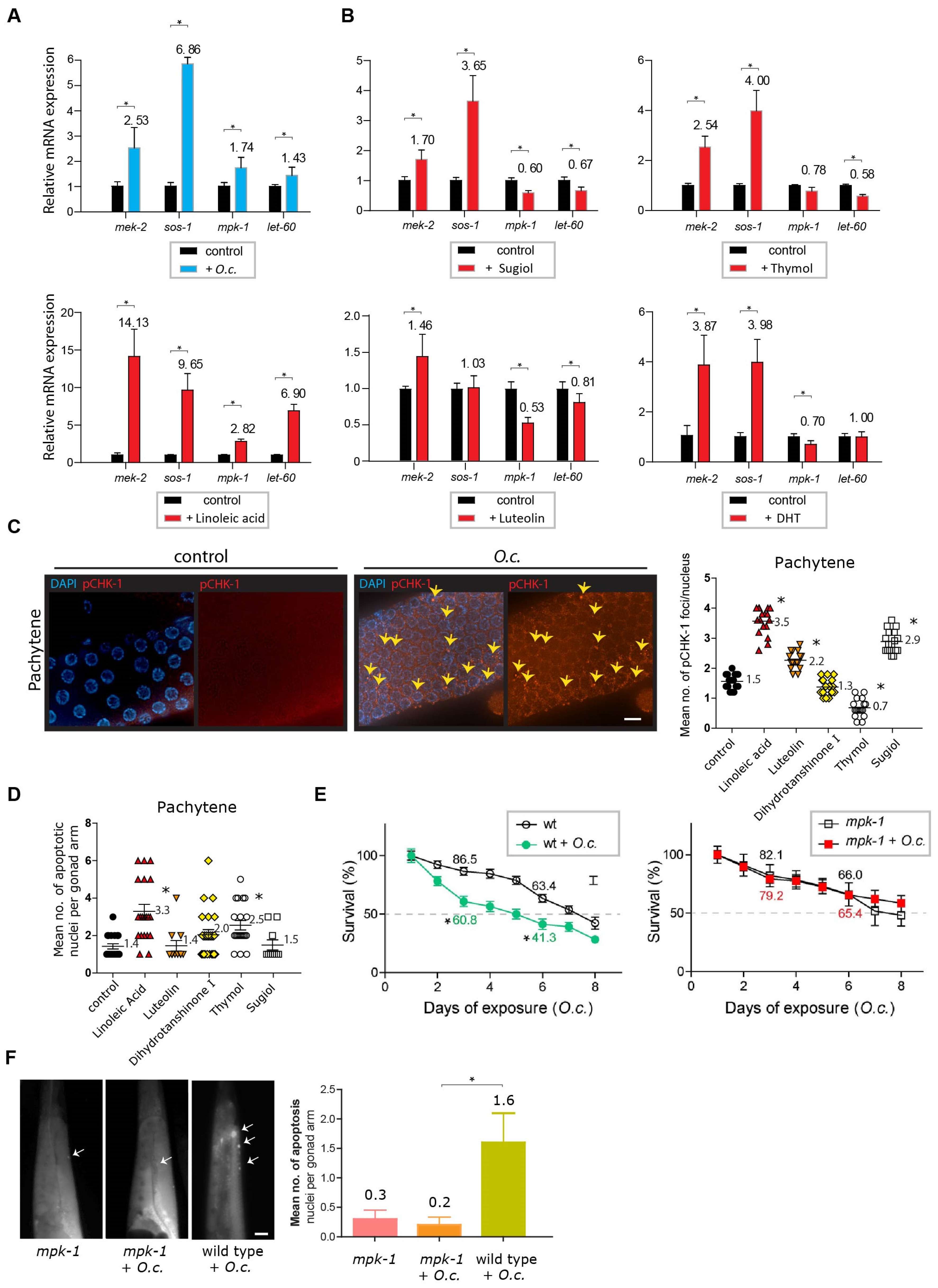 Nutrients 16 00008 g006 Nutrients 16 00008 g006