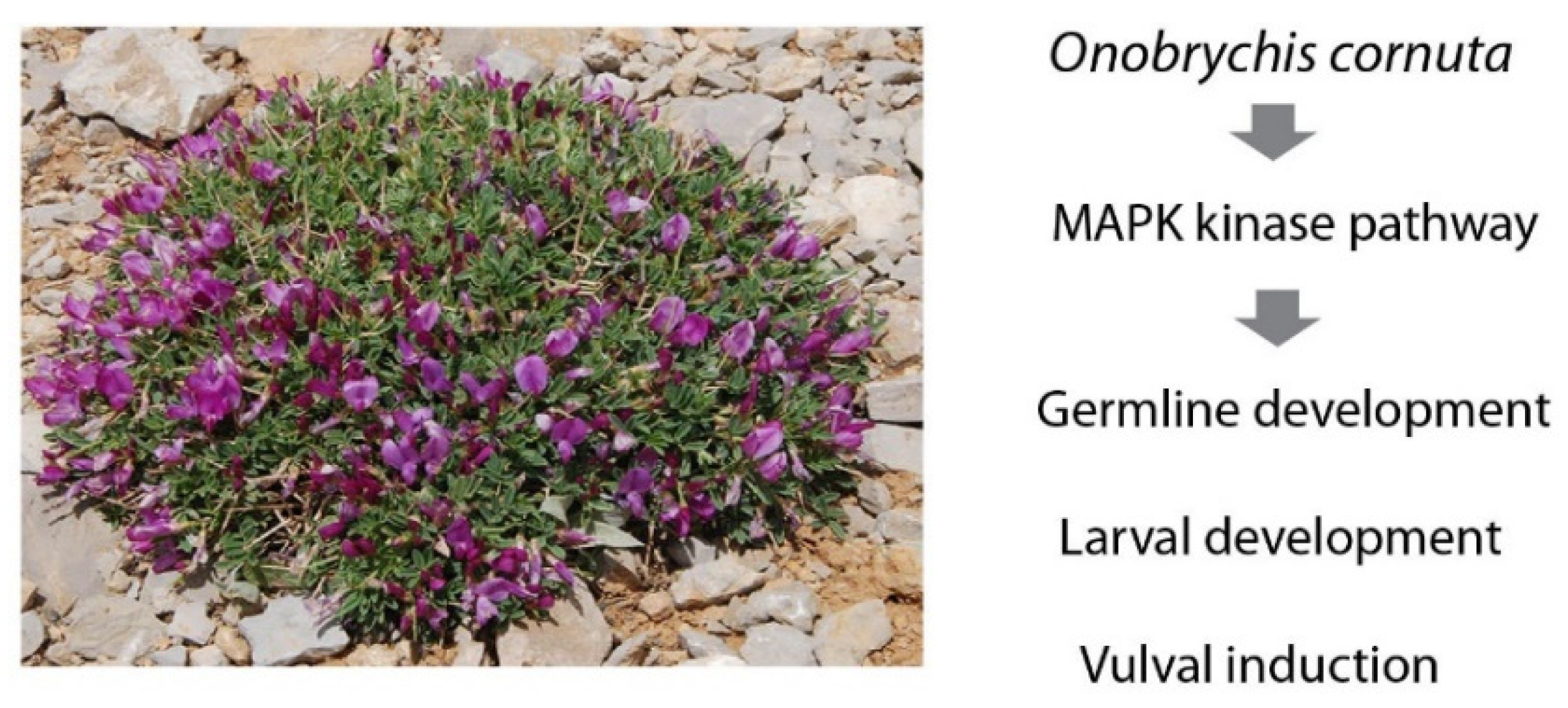 Nutrients 16 00008 g007 Nutrients 16 00008 g007