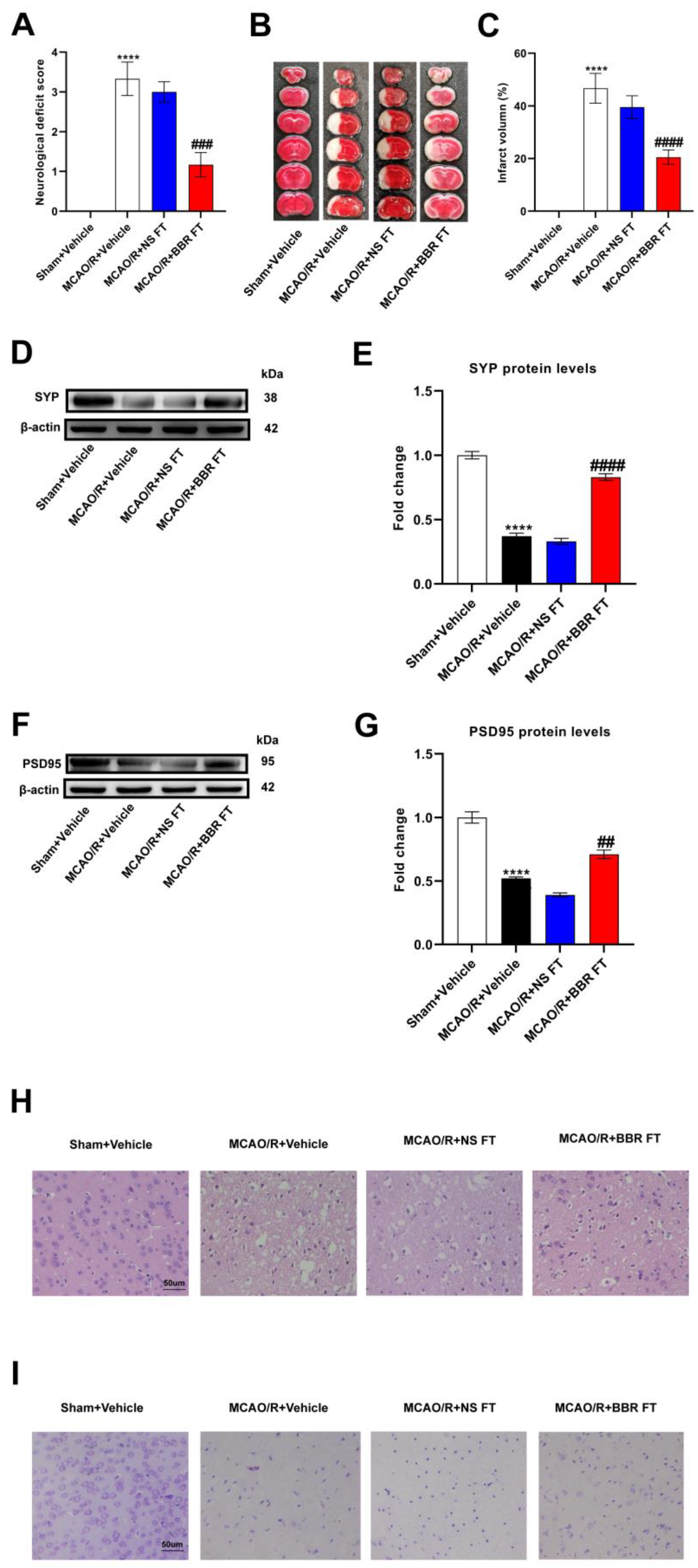 Nutrients 16 00009 g001