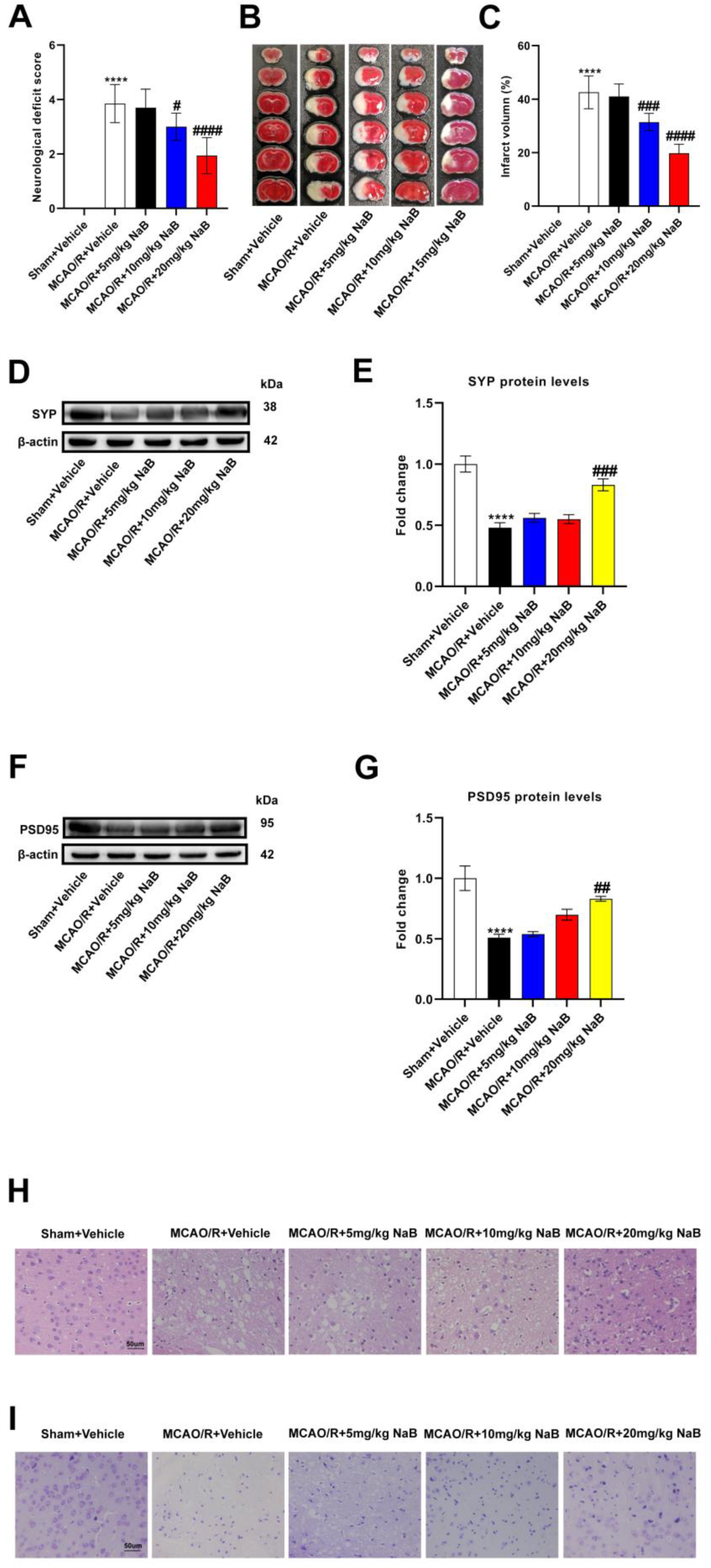 Nutrients 16 00009 g004