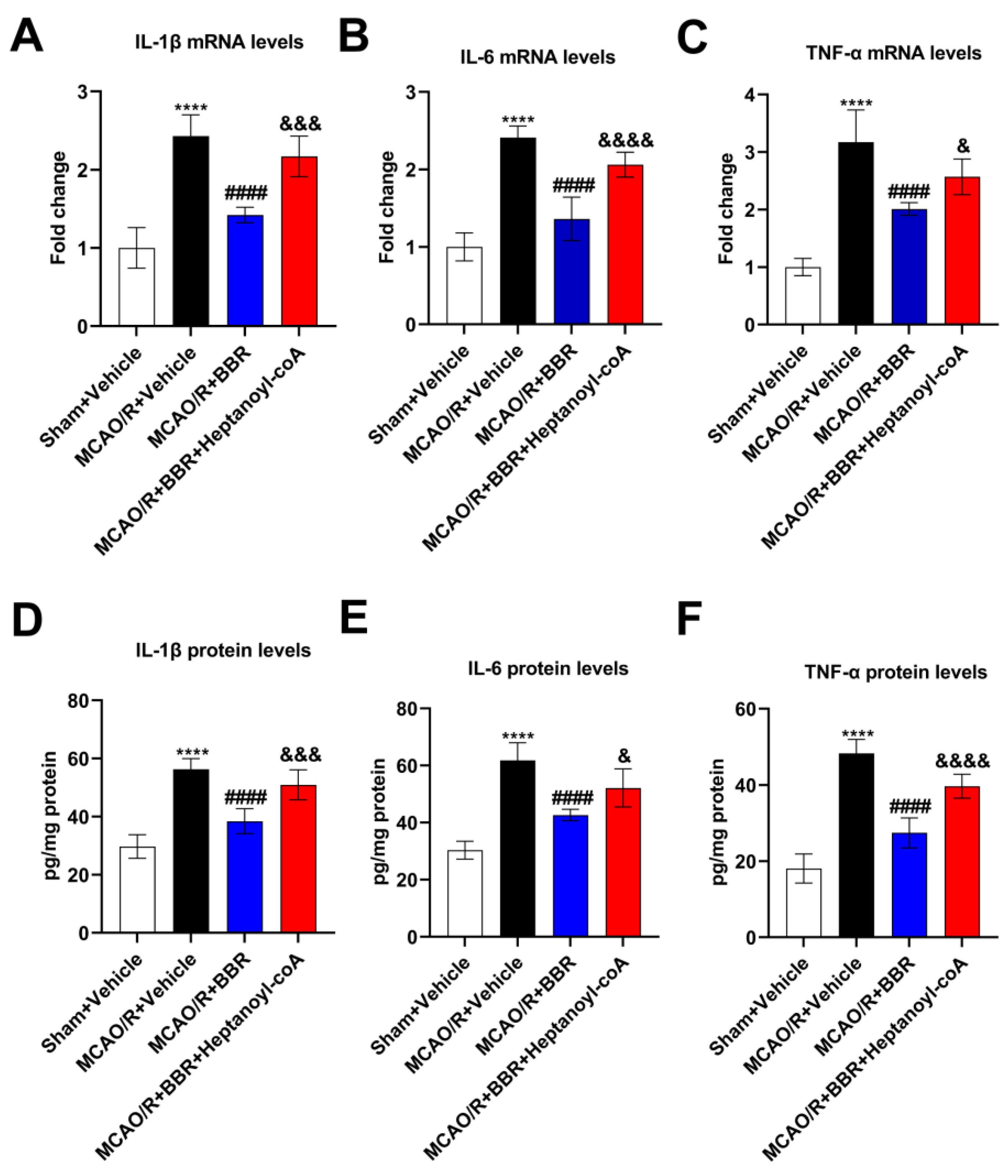 Nutrients 16 00009 g006