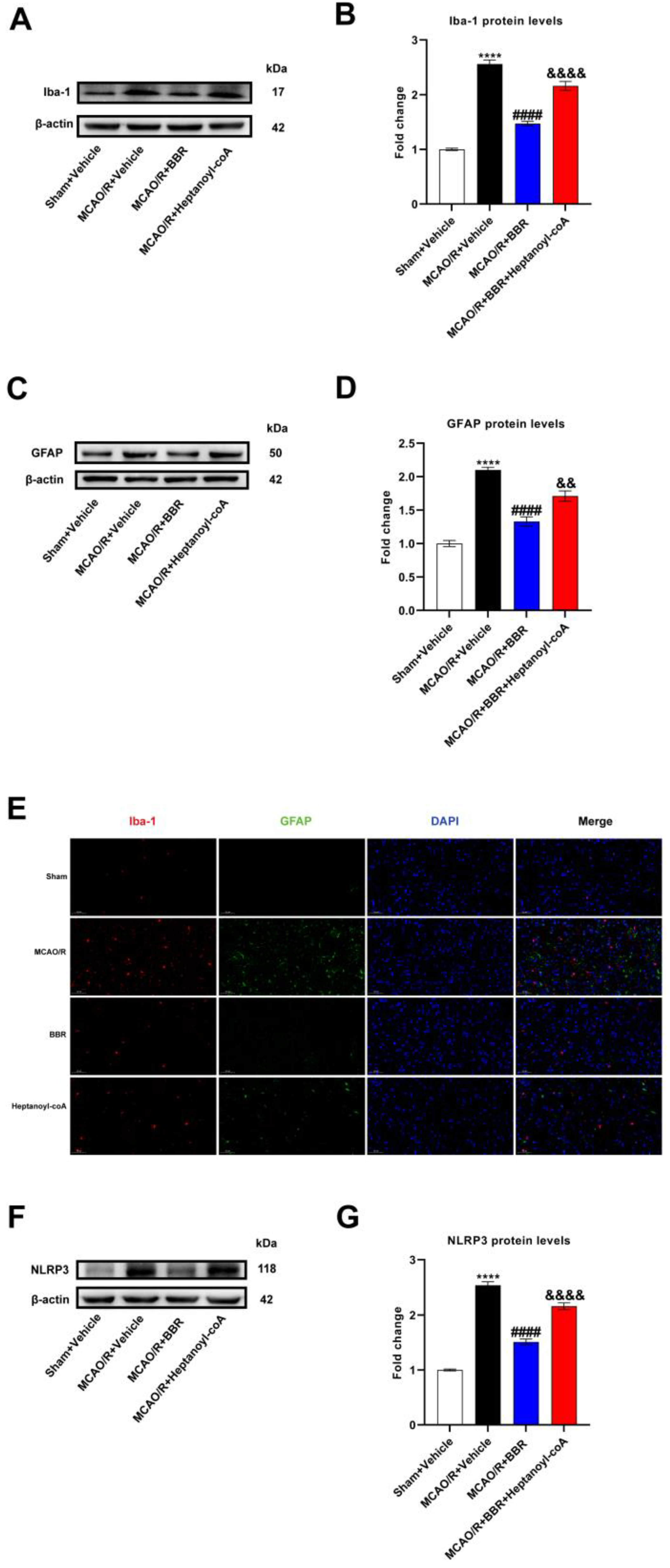 Nutrients 16 00009 g007