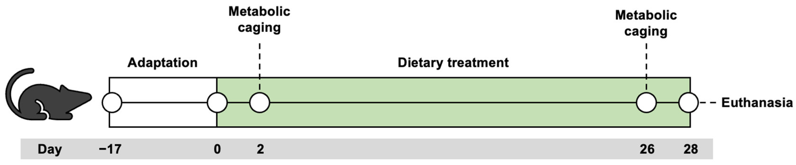 Nutrients 16 00018 g001
