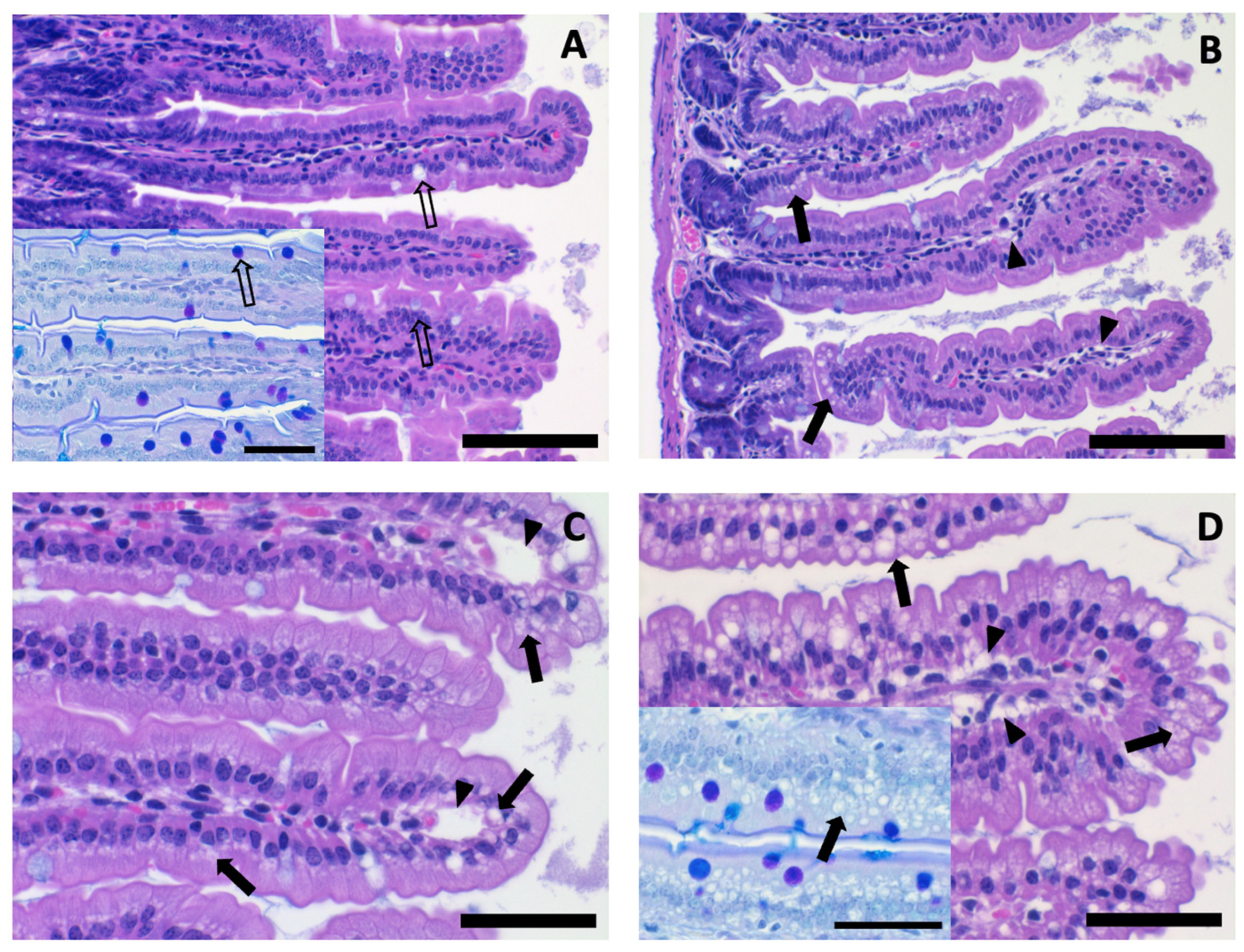 Nutrients 16 00018 g005