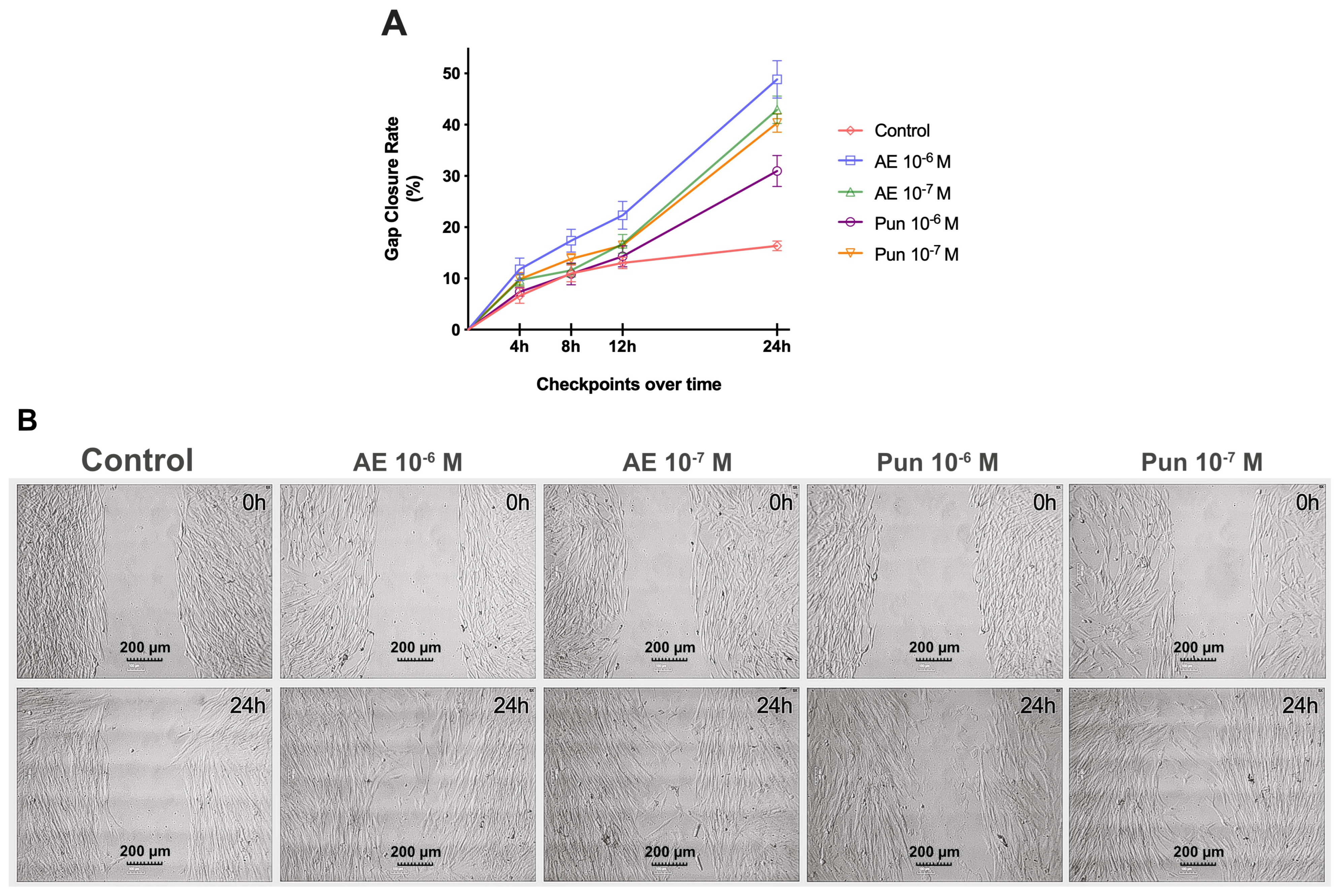 Nutrients 16 00023 g003