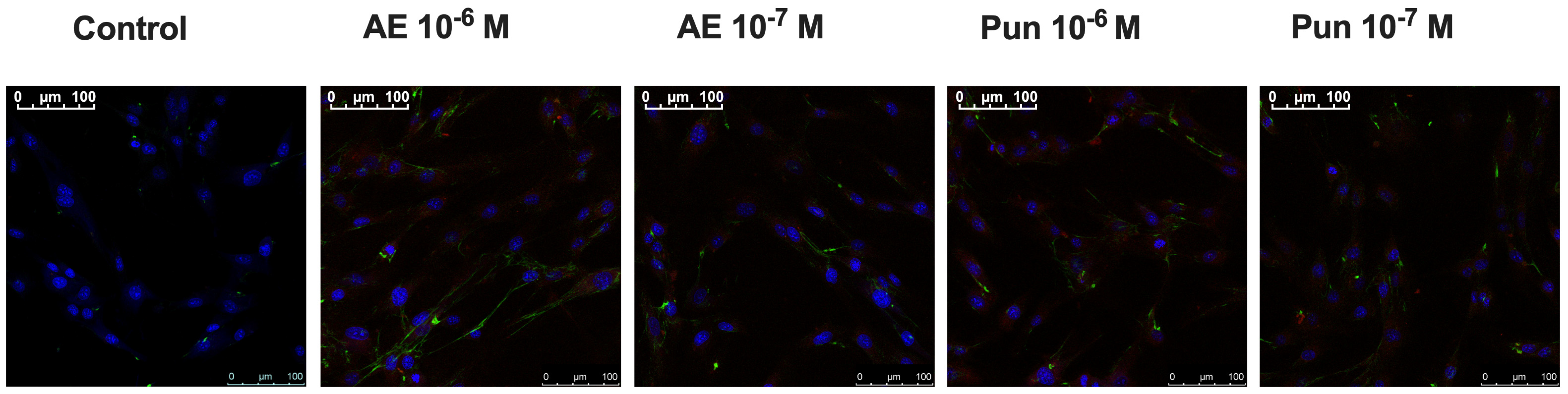 Nutrients 16 00023 g005