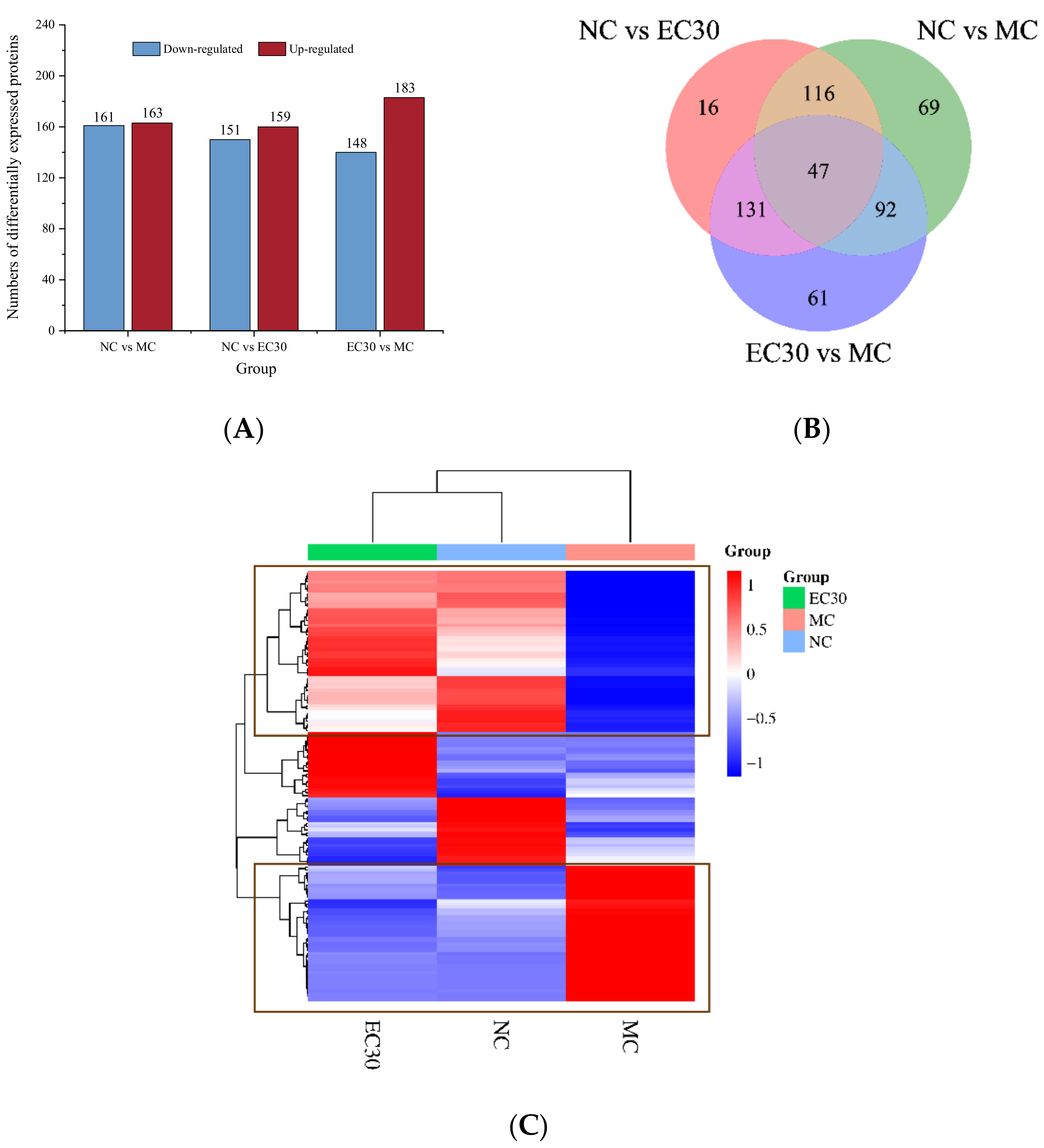 Nutrients 16 00025 g007 Nutrients 16 00025 g007