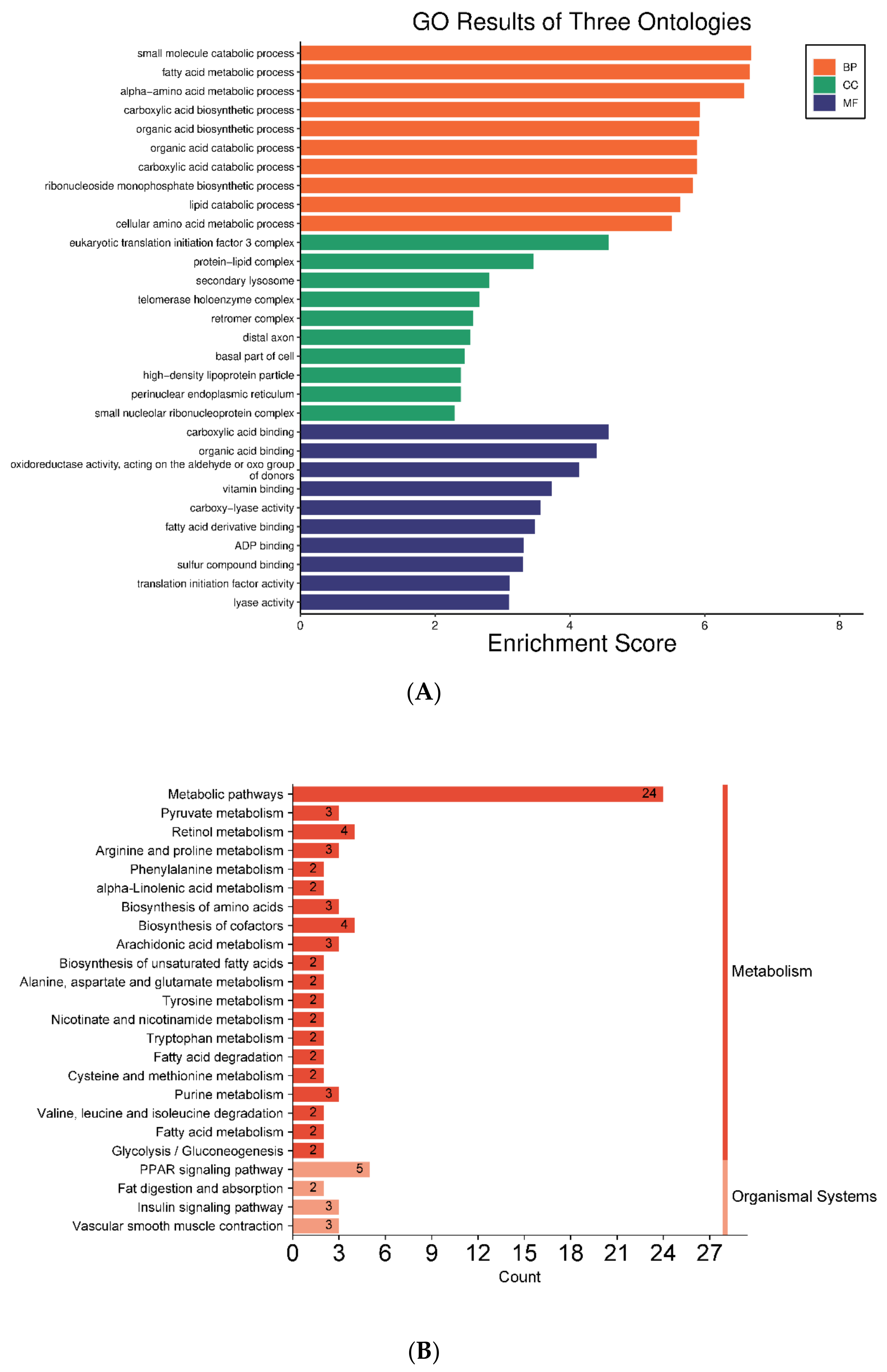 Nutrients 16 00025 g008 Nutrients 16 00025 g008