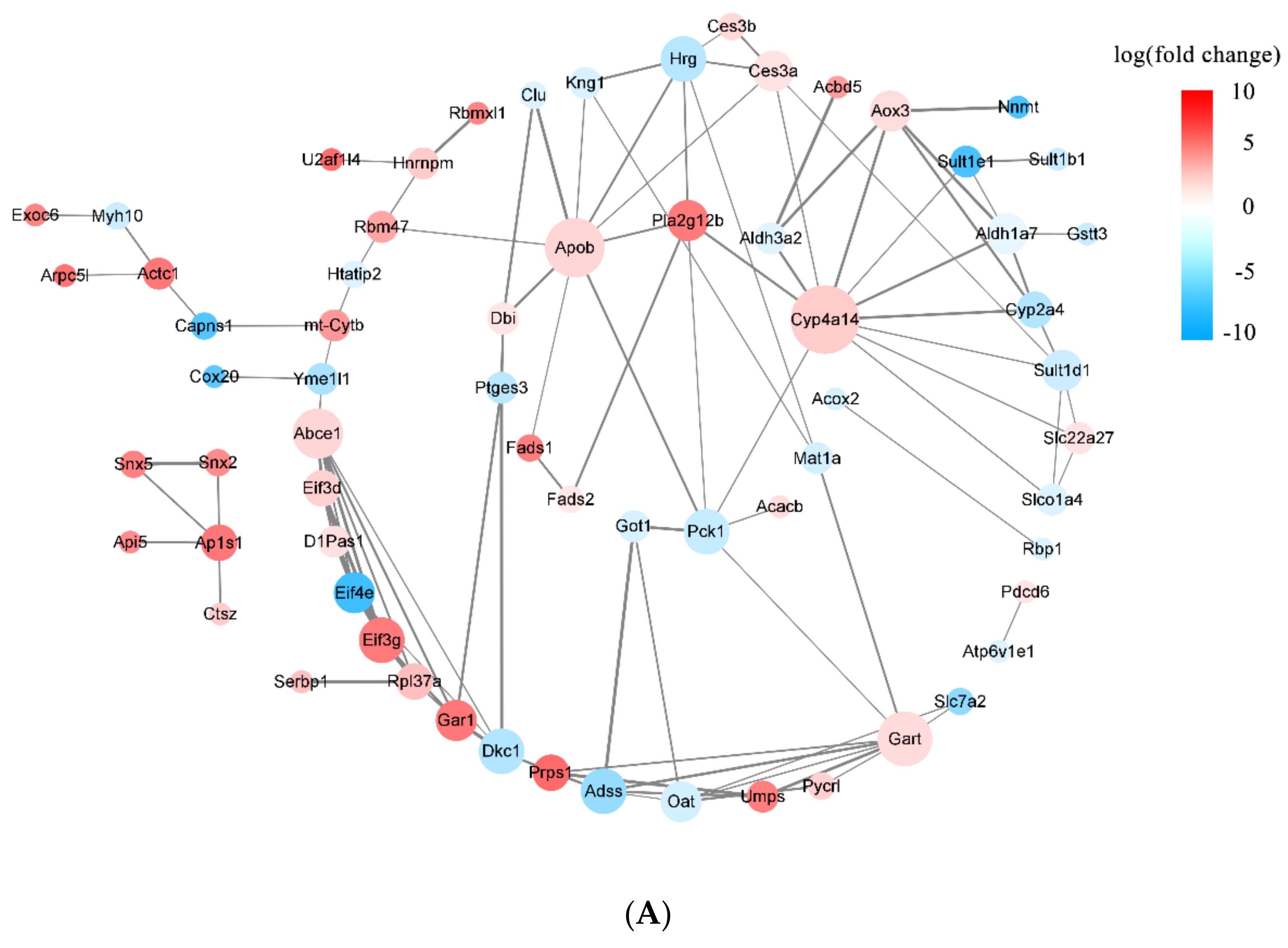 Nutrients 16 00025 g009a Nutrients 16 00025 g009a