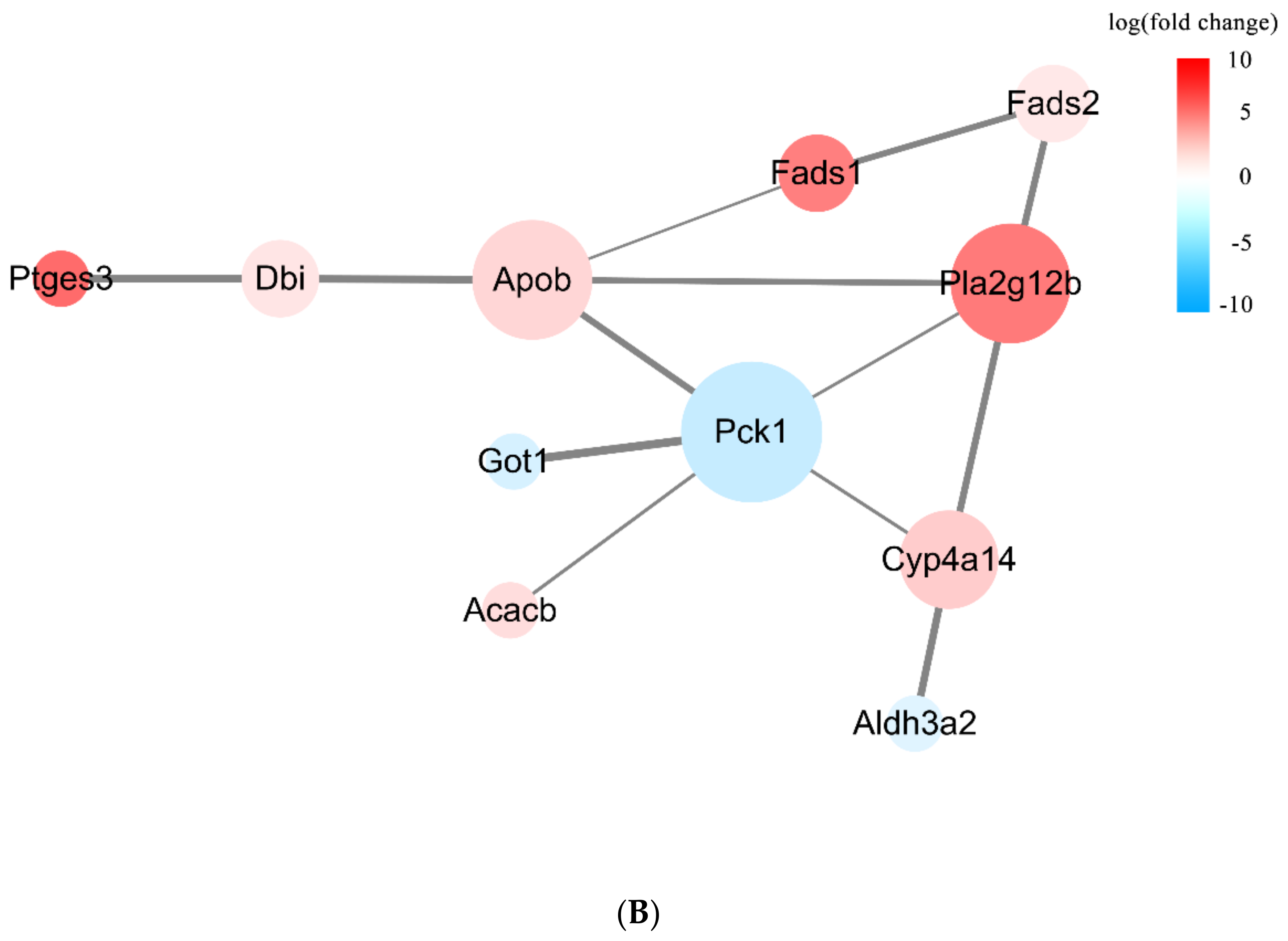 Nutrients 16 00025 g009b Nutrients 16 00025 g009b