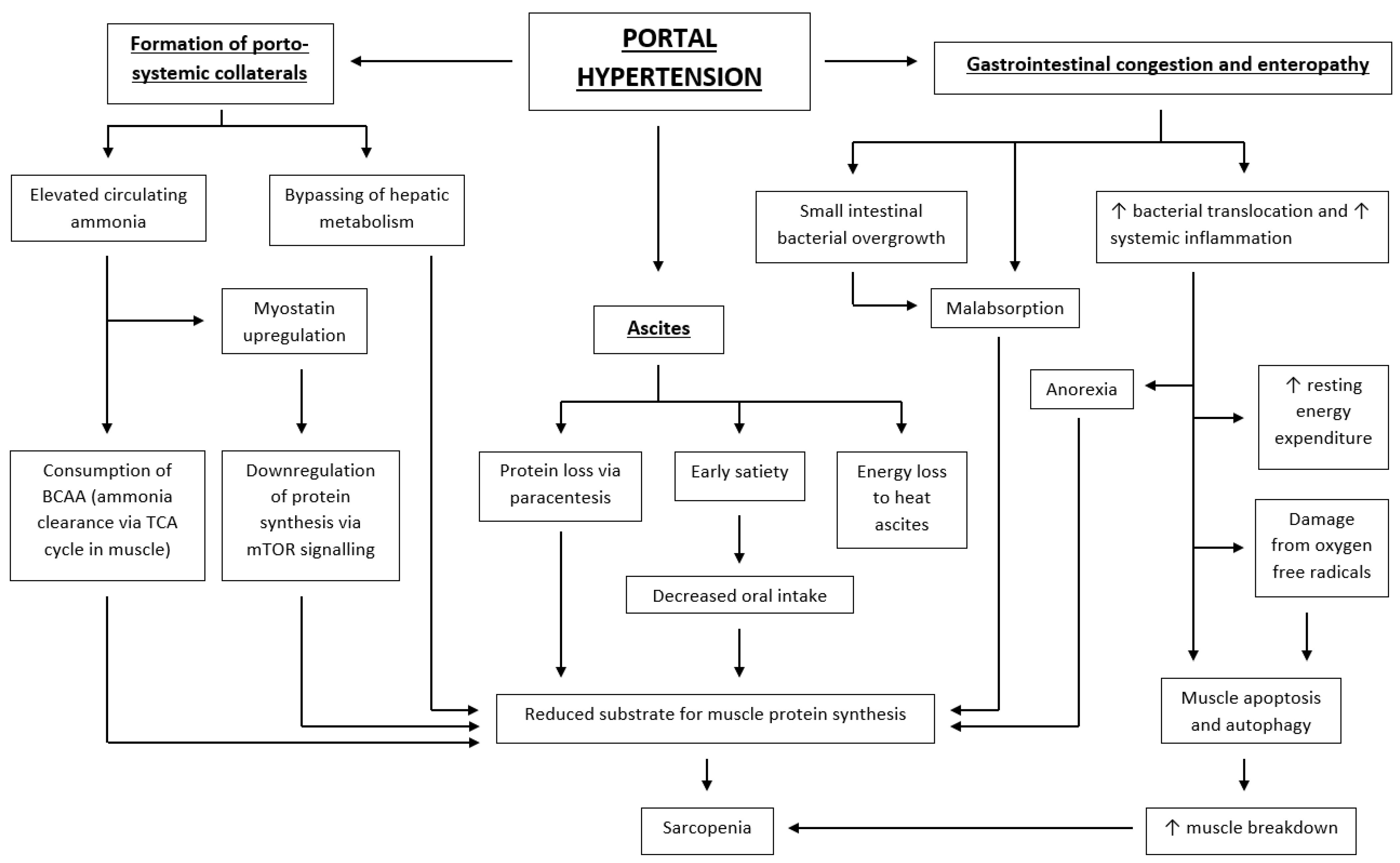 Nutrients 16 00035 g002 Nutrients 16 00035 g002