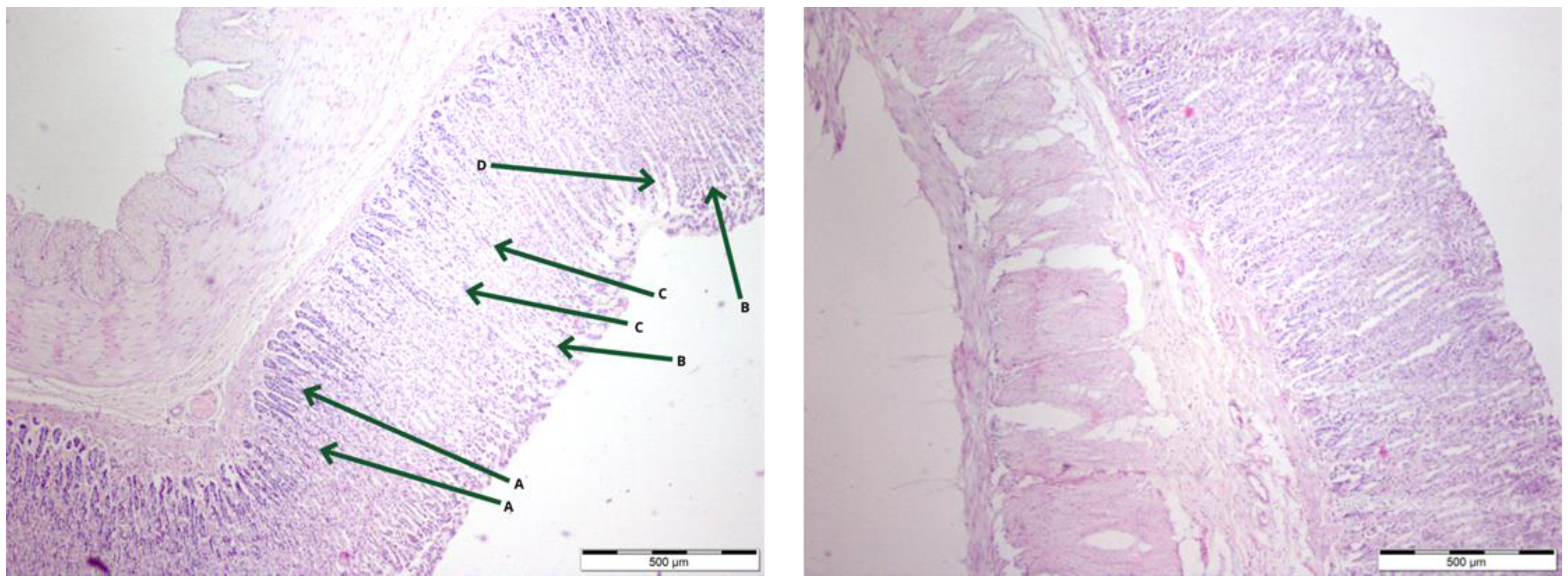 Nutrients 16 00037 g001