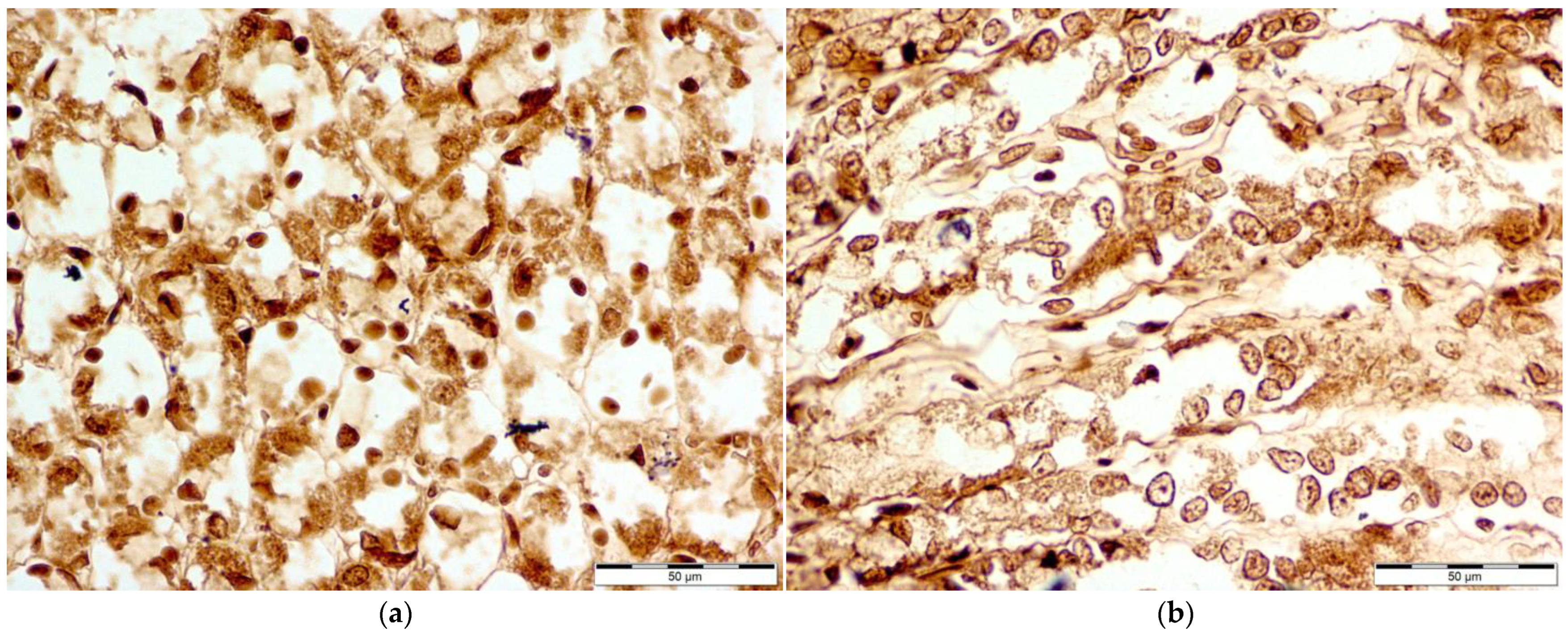 Nutrients 16 00037 g002