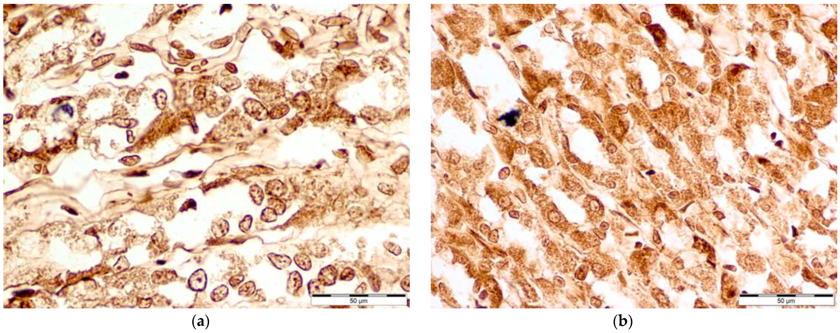 Nutrients 16 00037 g003
