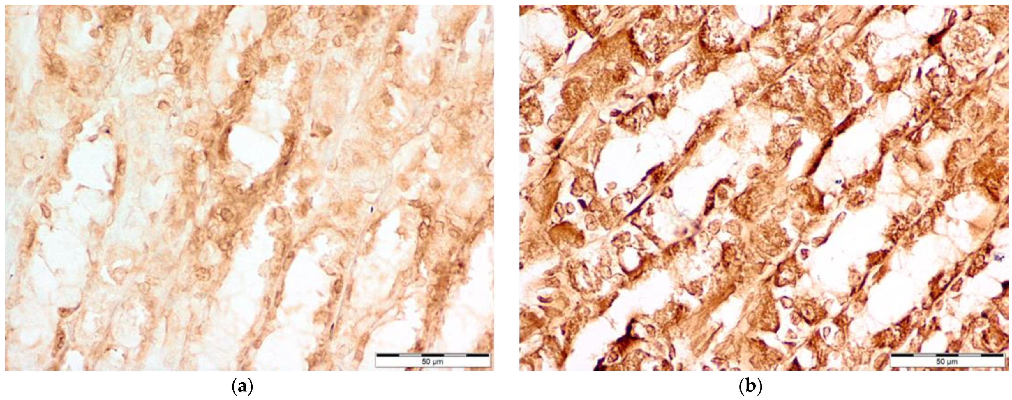 Nutrients 16 00037 g004