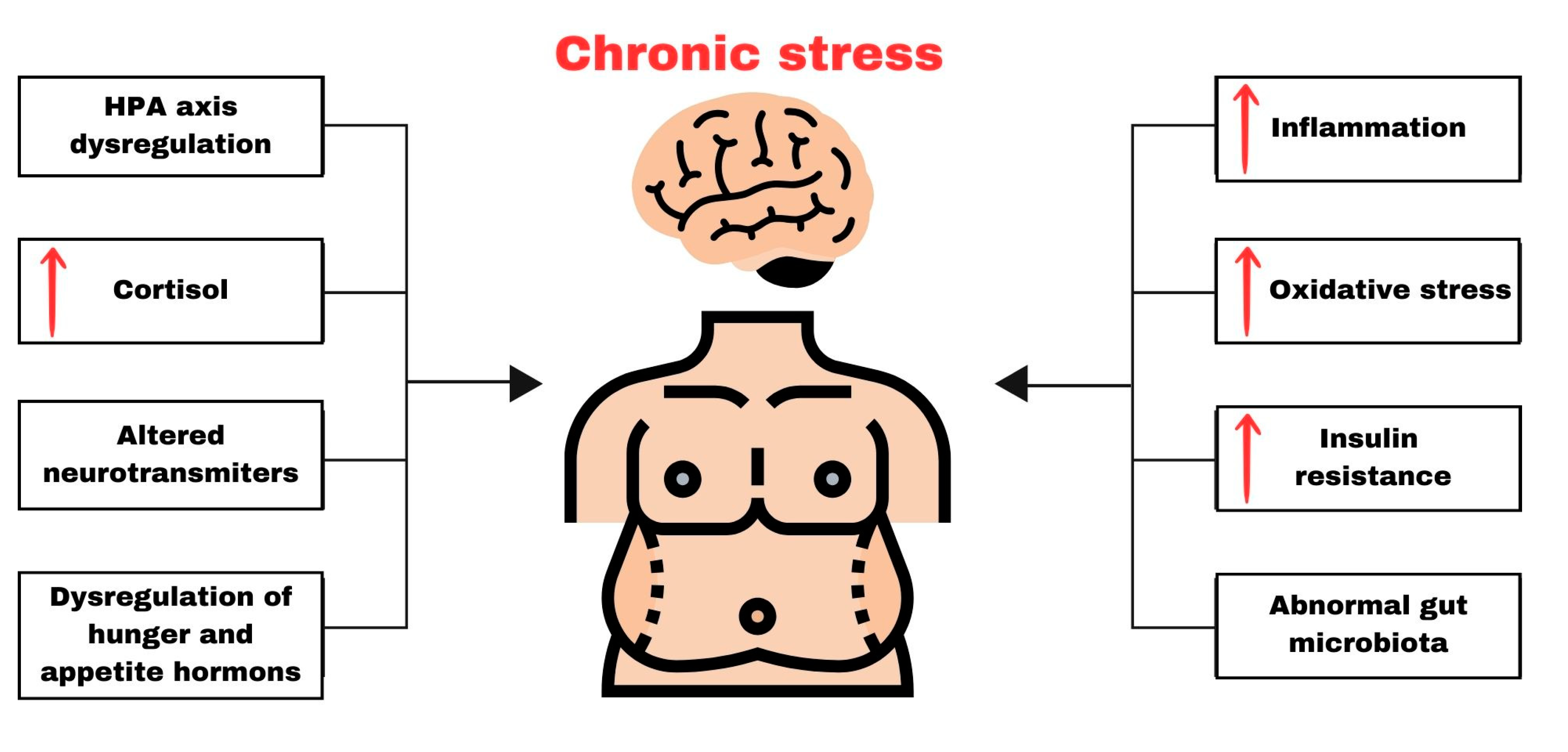 Nutrients 16 00054 sch001