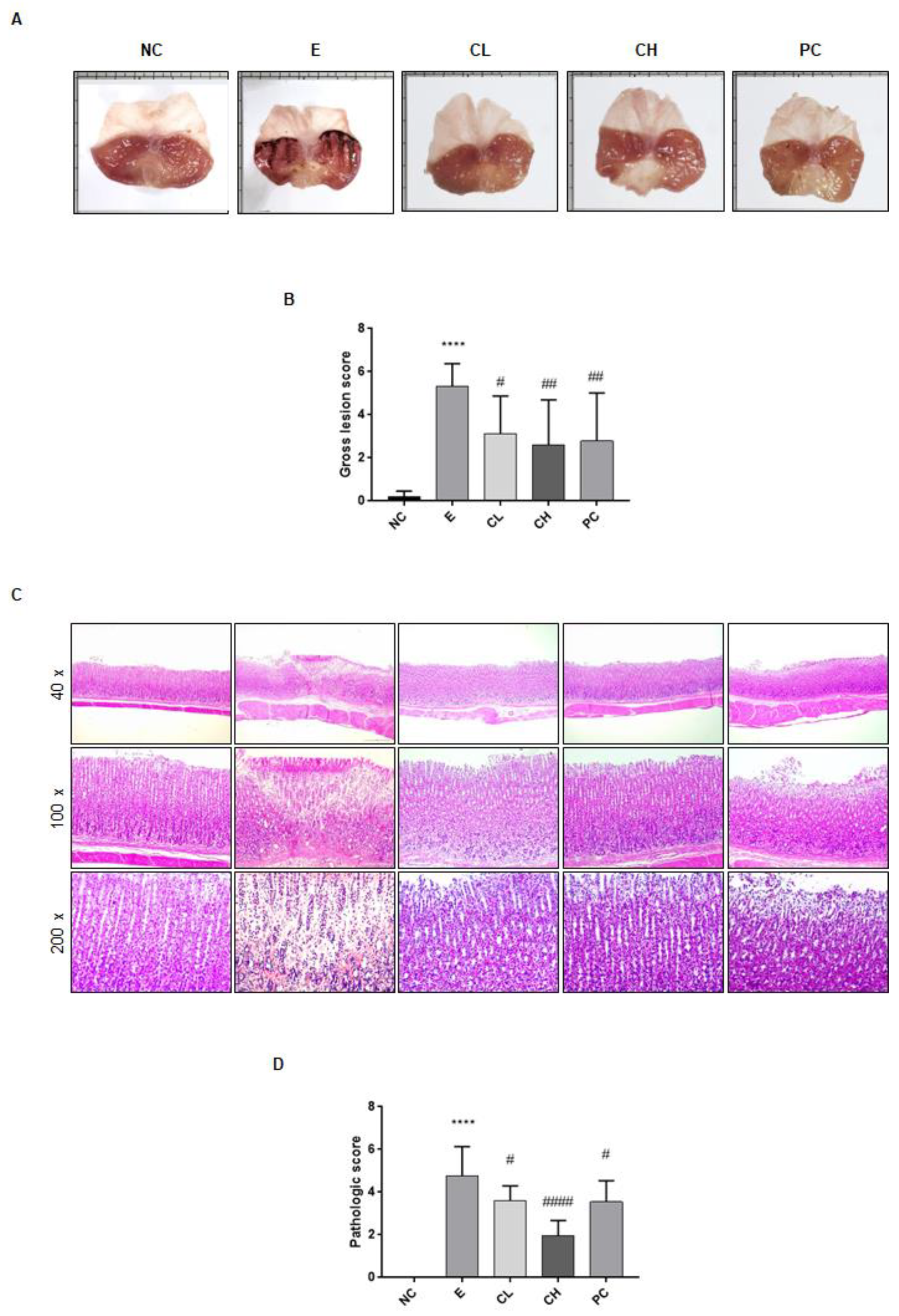 Nutrients 16 00055 g002