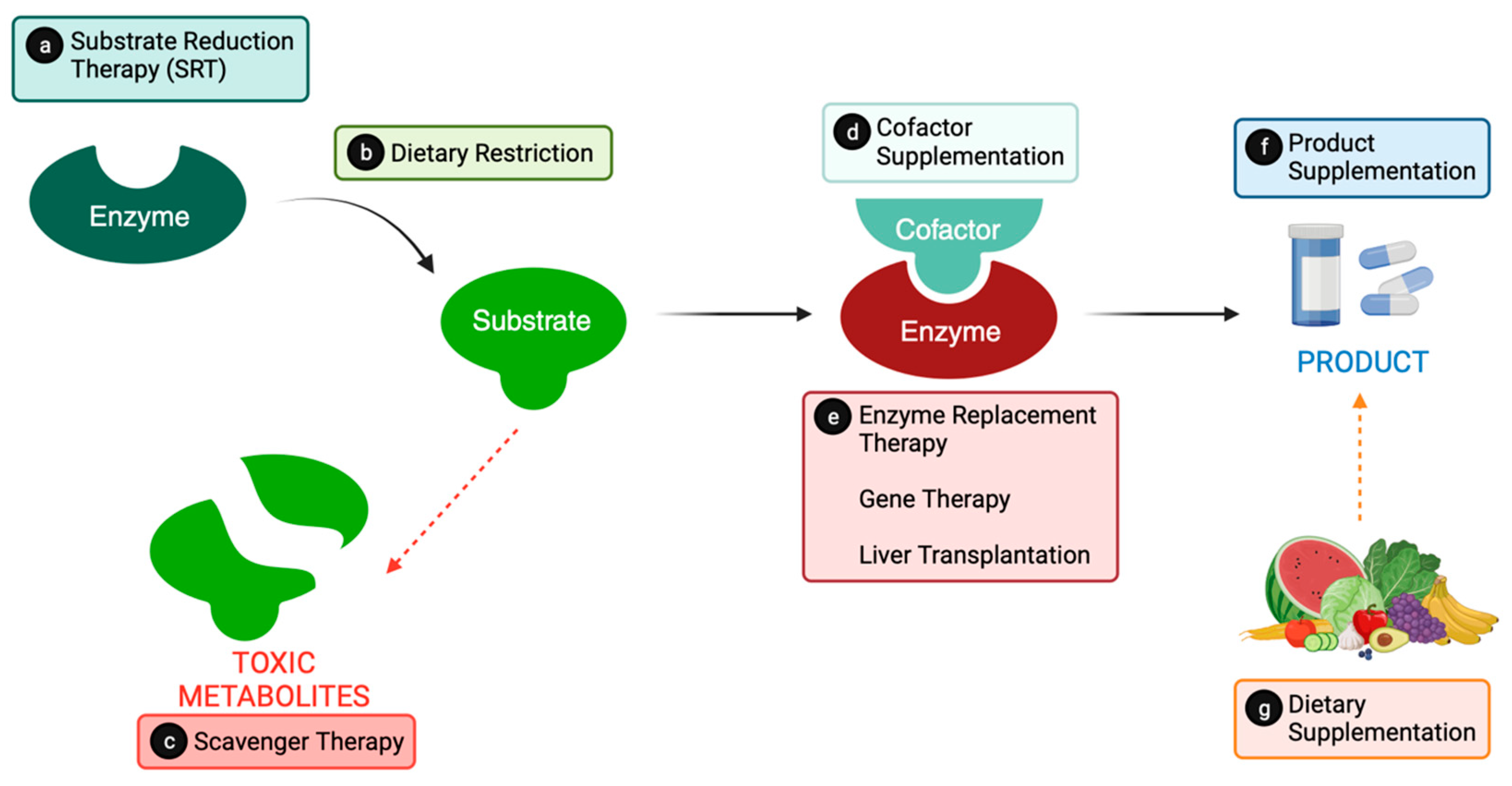 Nutrients 16 00061 g001