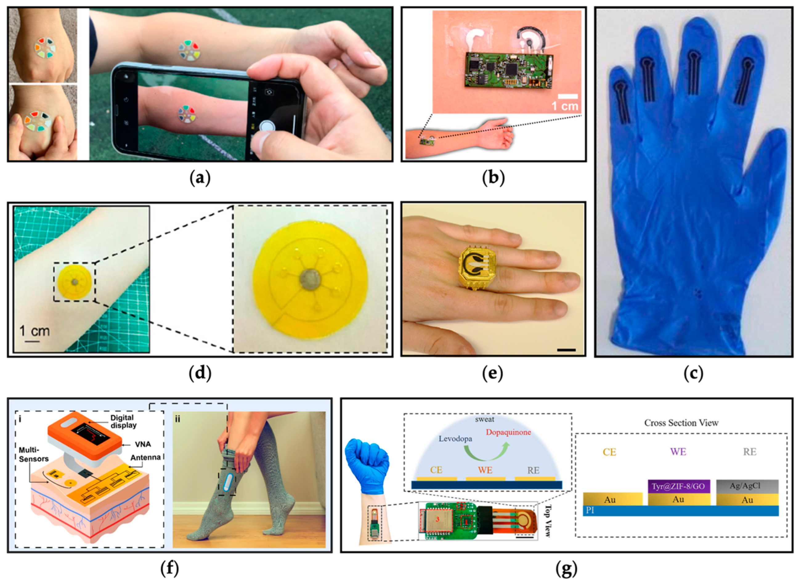 Nutrients 16 00061 g003