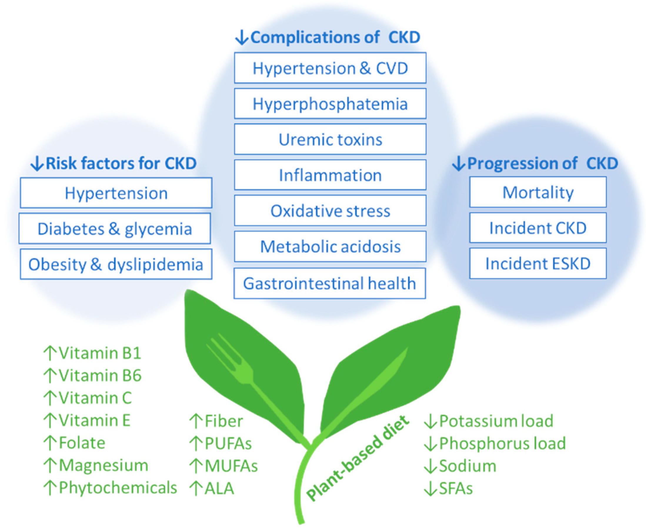 Nutrients 16 00066 g002