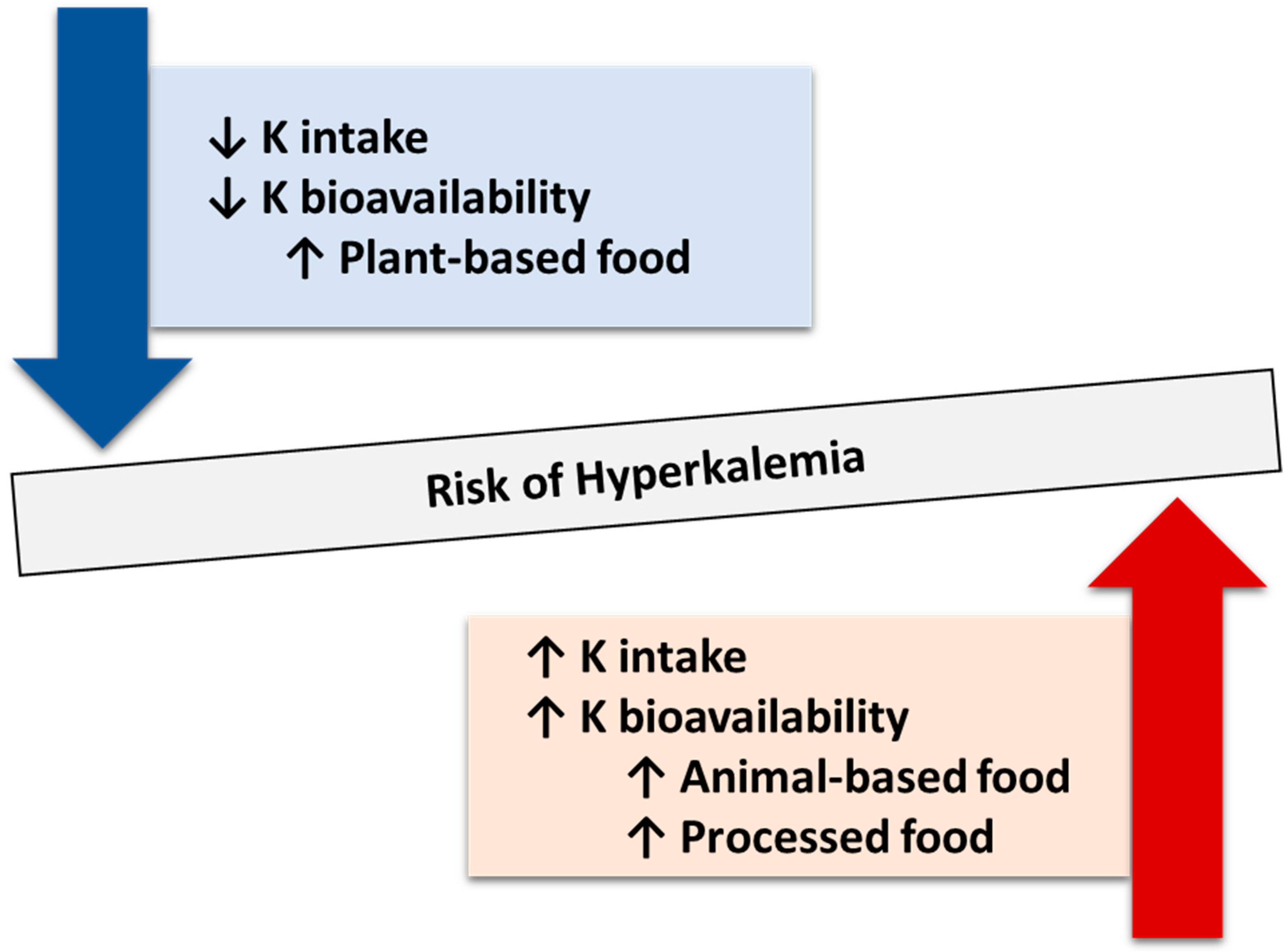 Nutrients 16 00066 g004