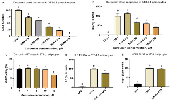 Anti-Inflammatory Mechanisms of Curcumin and Its Metabolites in White ...