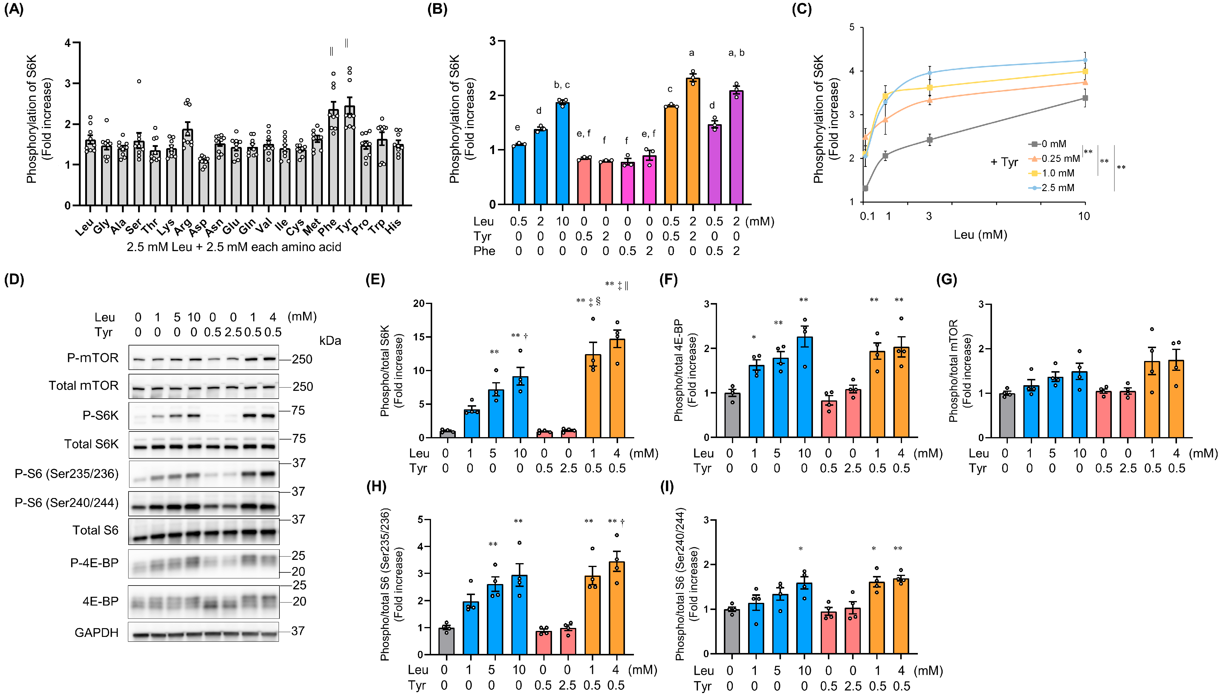 Nutrients 16 00084 g001