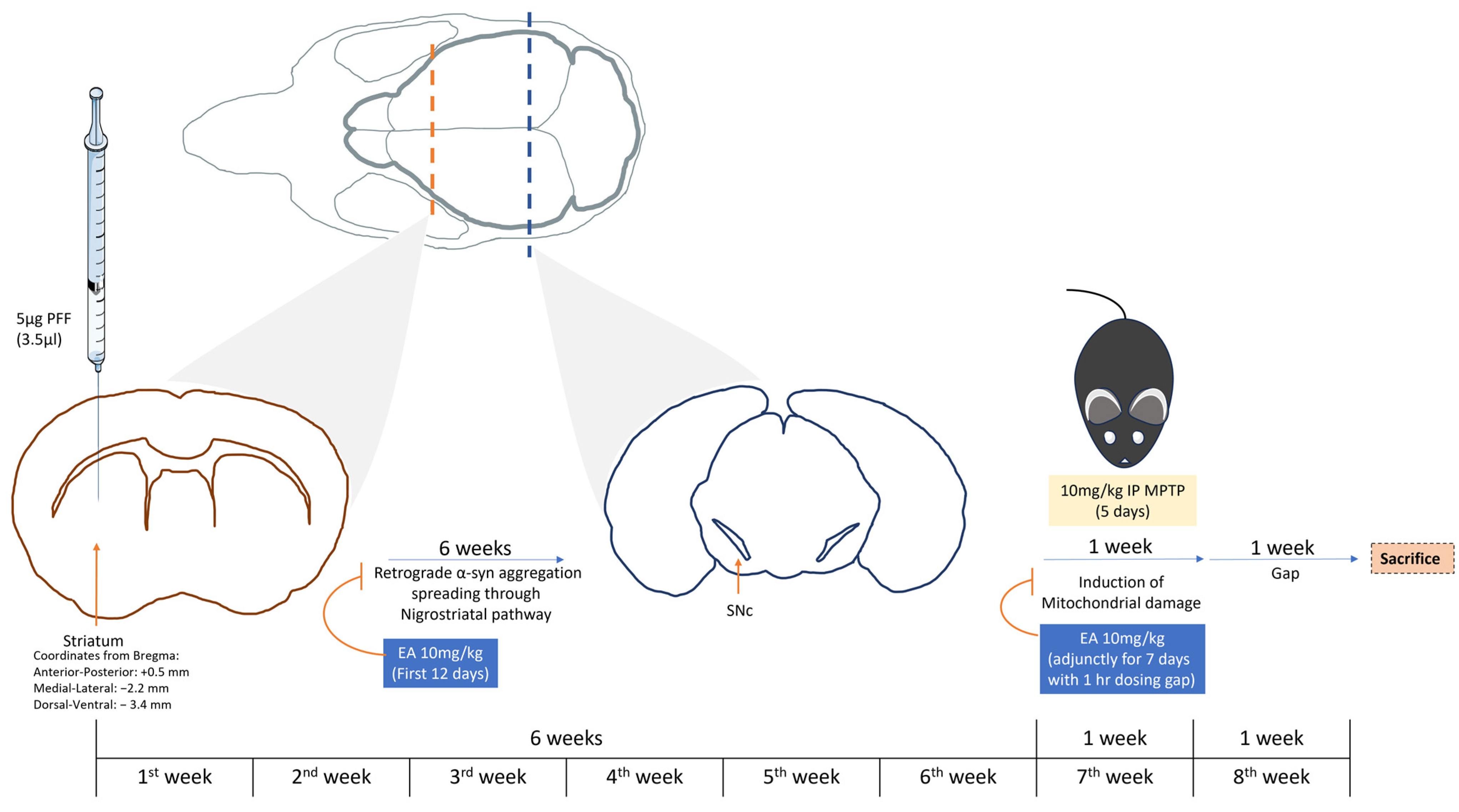 Nutrients 16 00085 g003