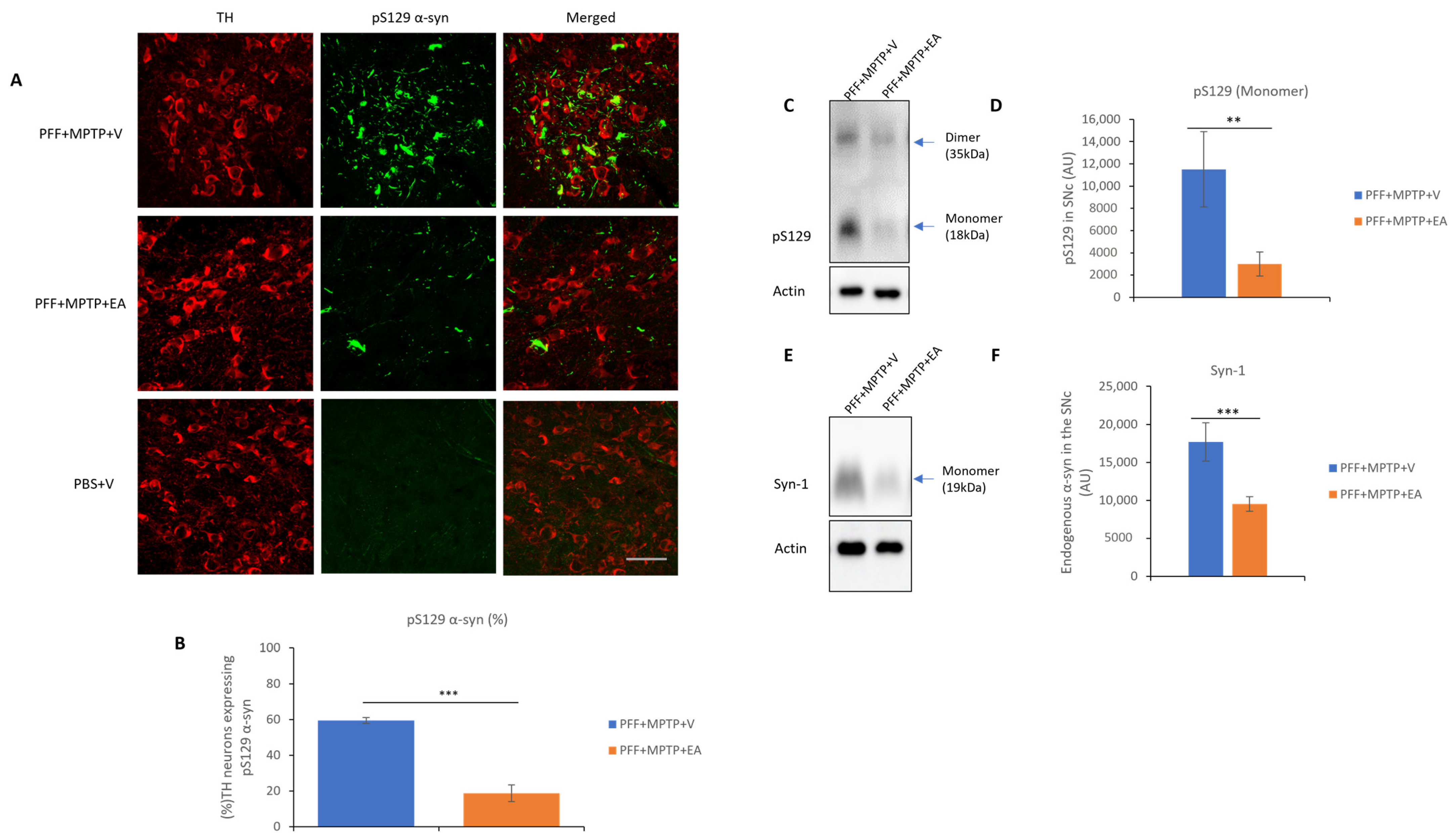 Nutrients 16 00085 g004
