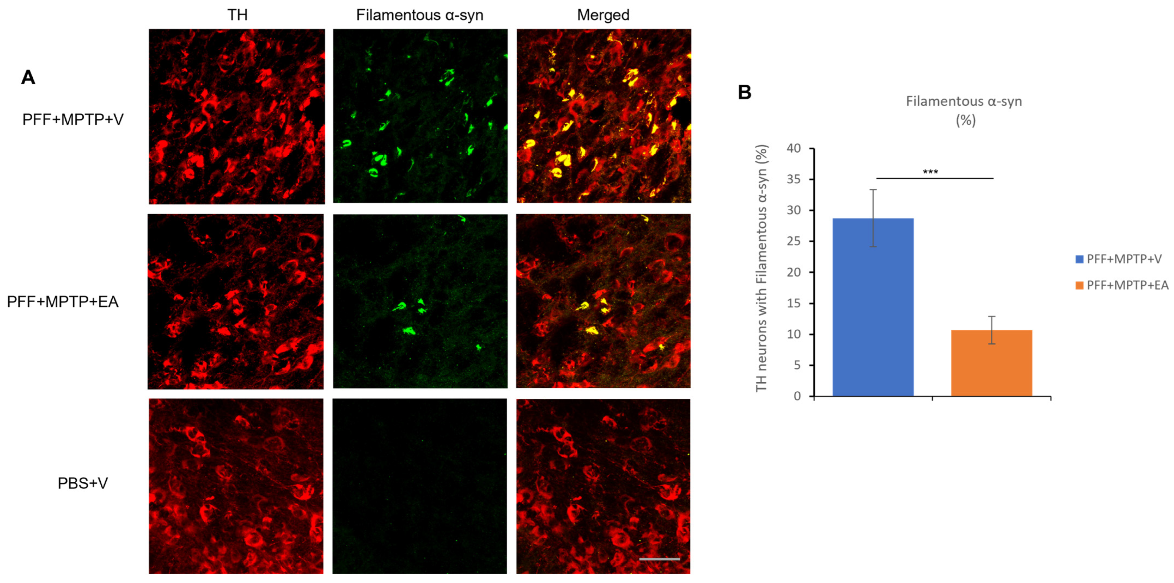 Nutrients 16 00085 g005