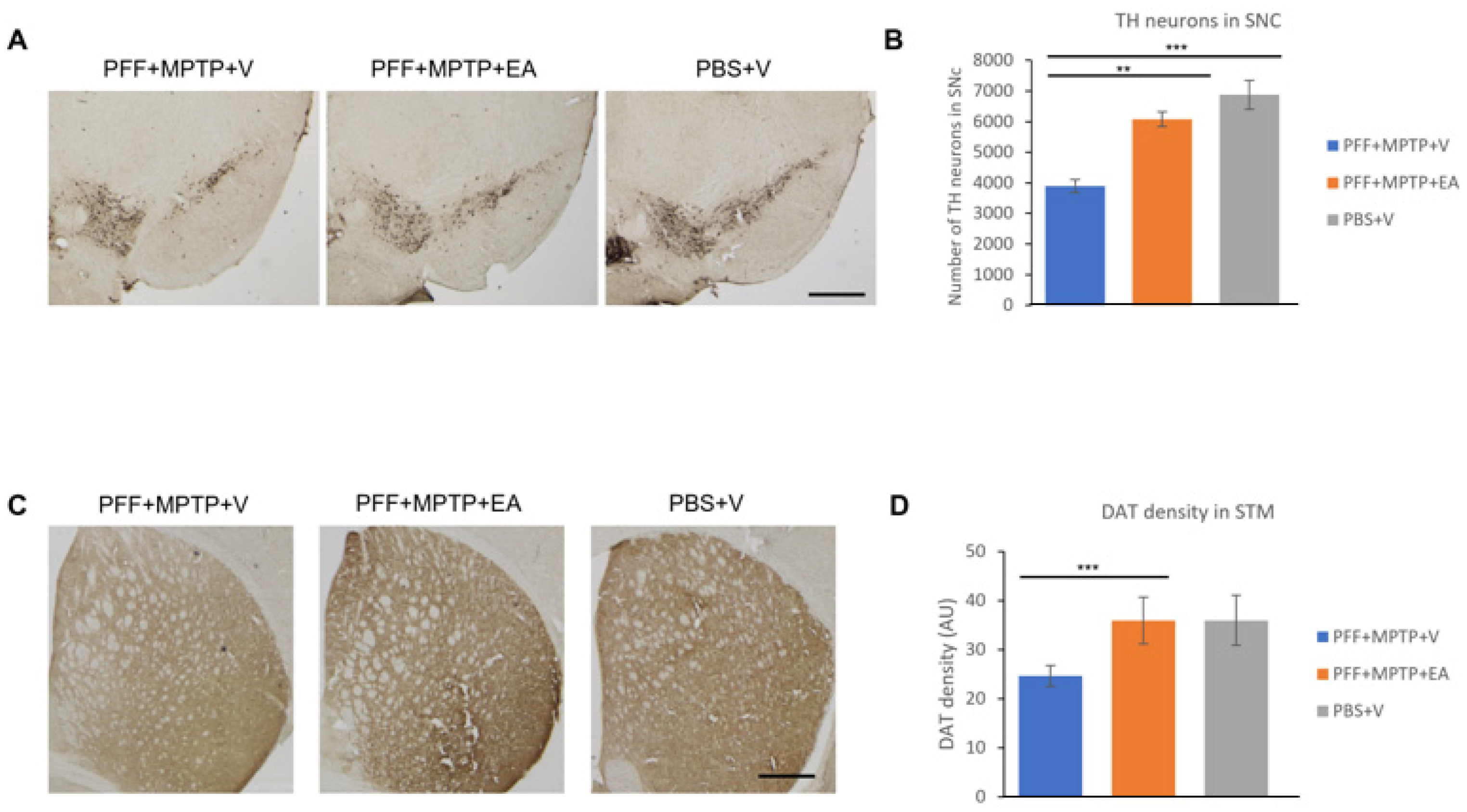 Nutrients 16 00085 g006