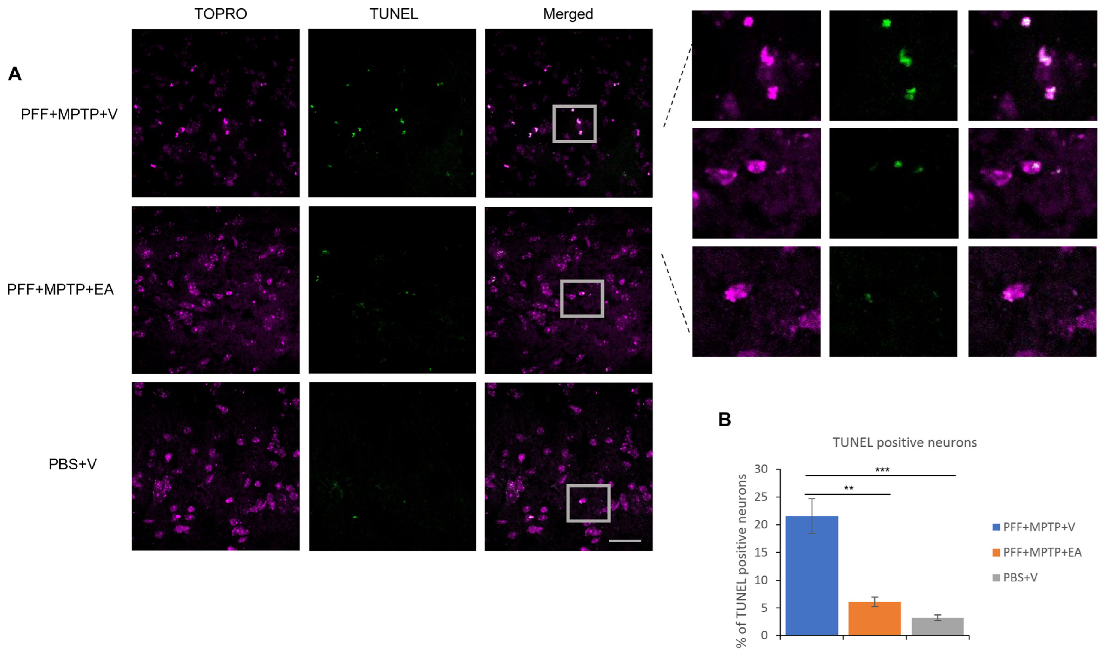 Nutrients 16 00085 g007