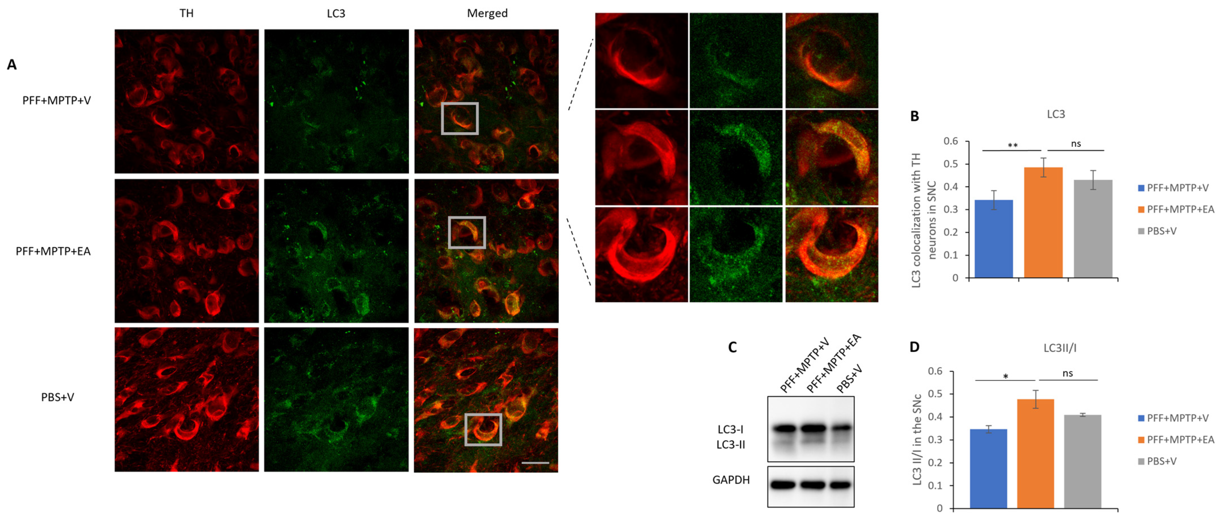 Nutrients 16 00085 g008