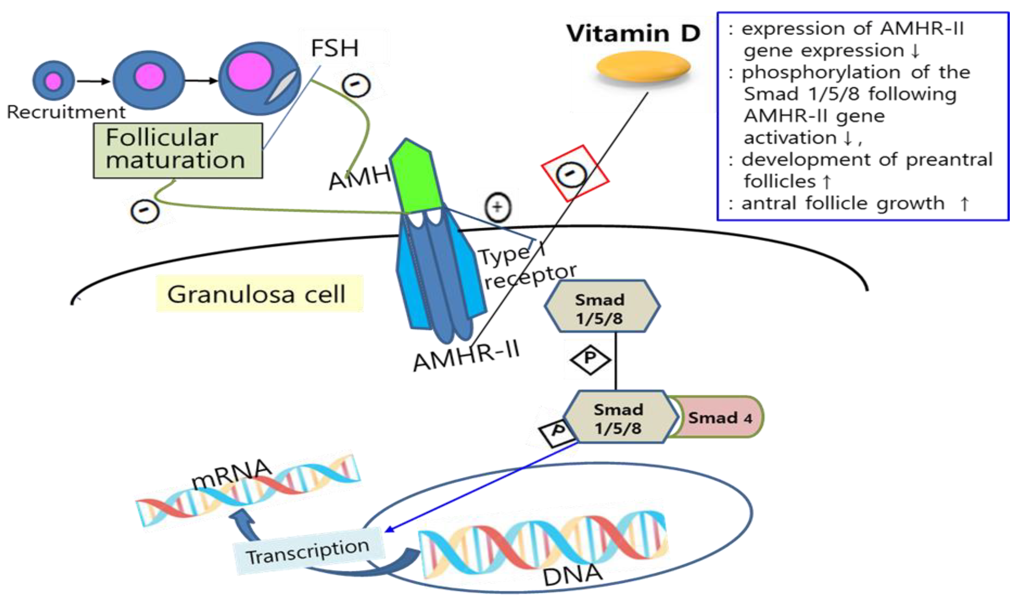 Nutrients 16 00096 g001 Nutrients 16 00096 g001