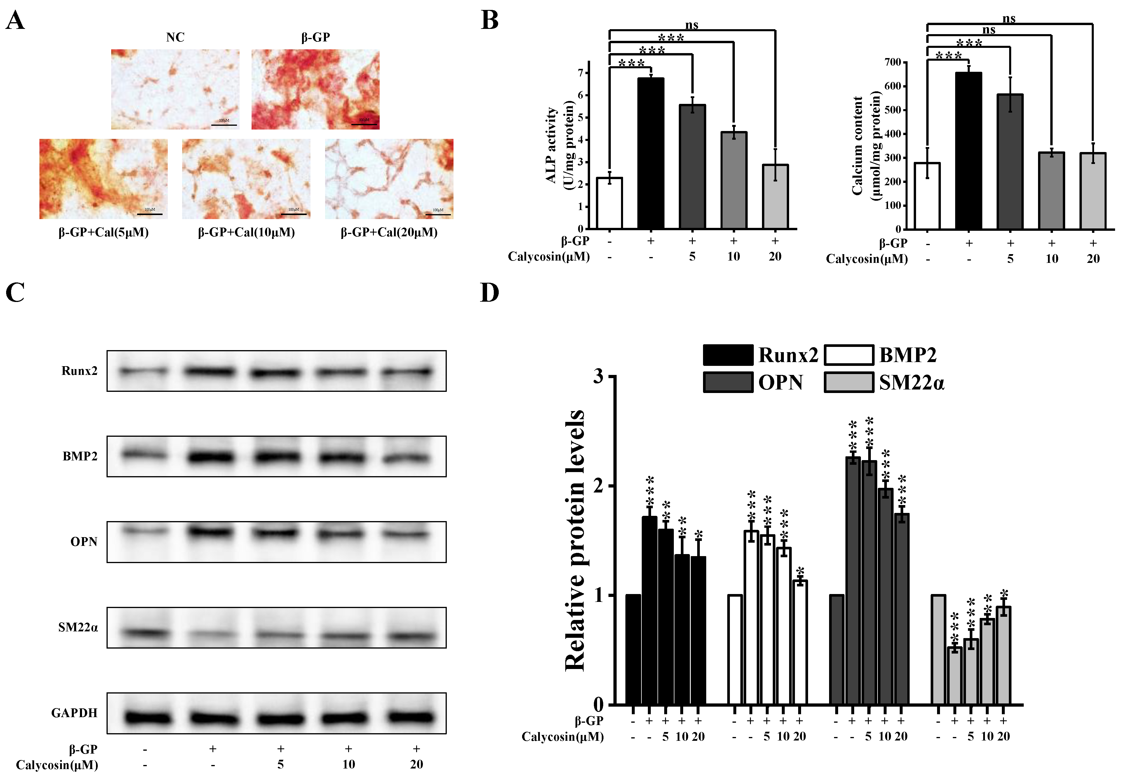 Nutrients 16 00099 g001