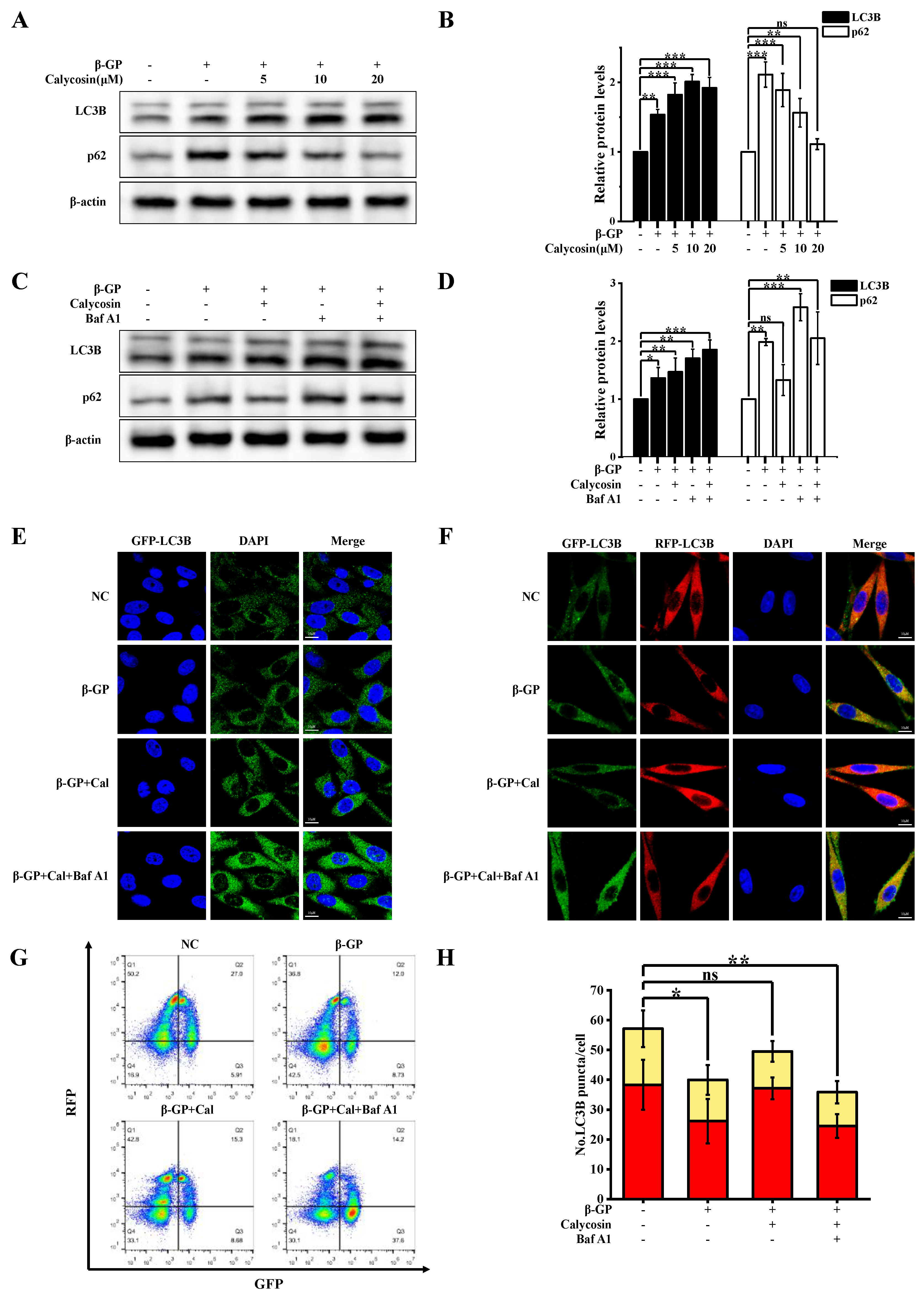 Nutrients 16 00099 g002