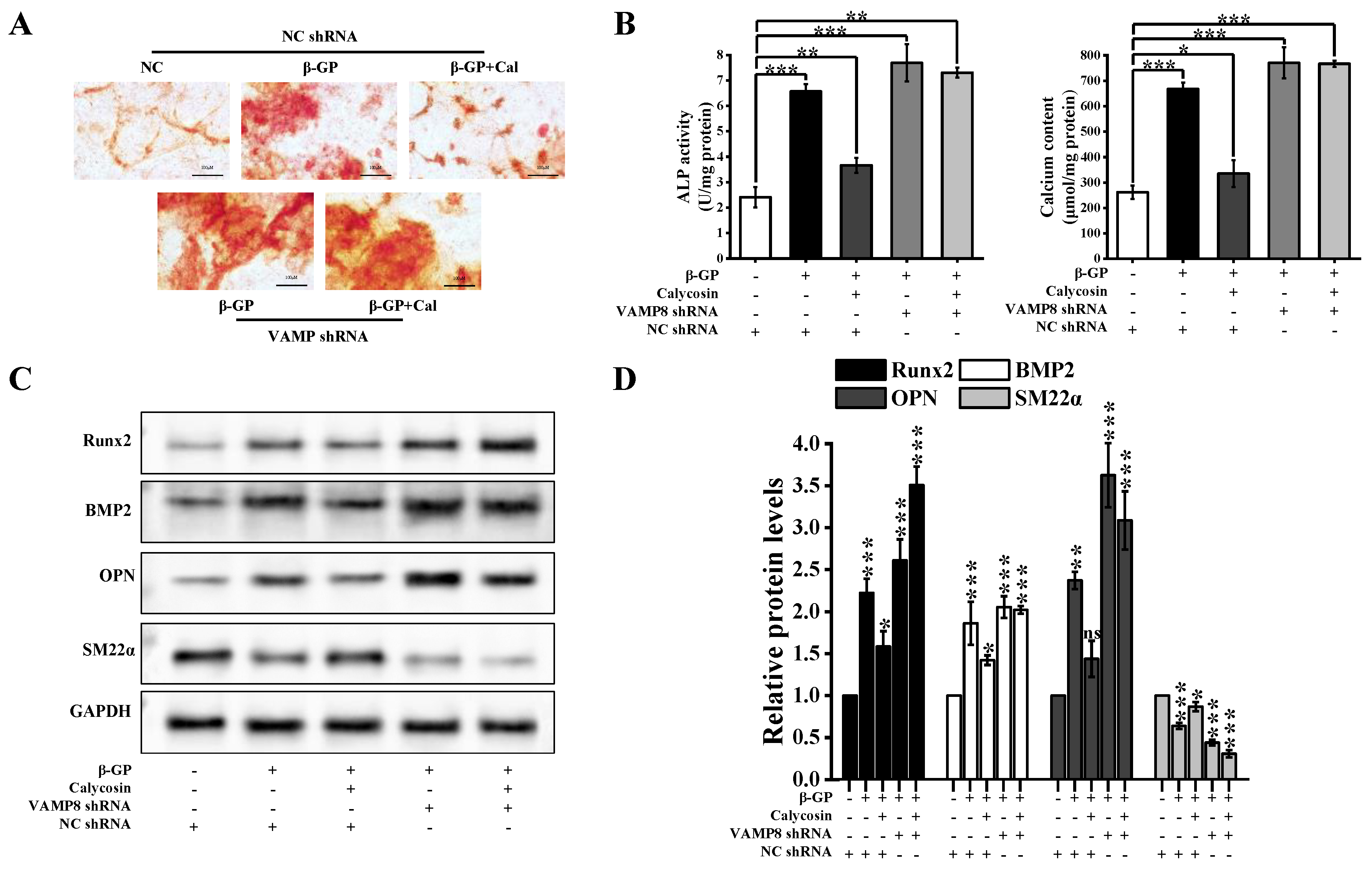 Nutrients 16 00099 g007