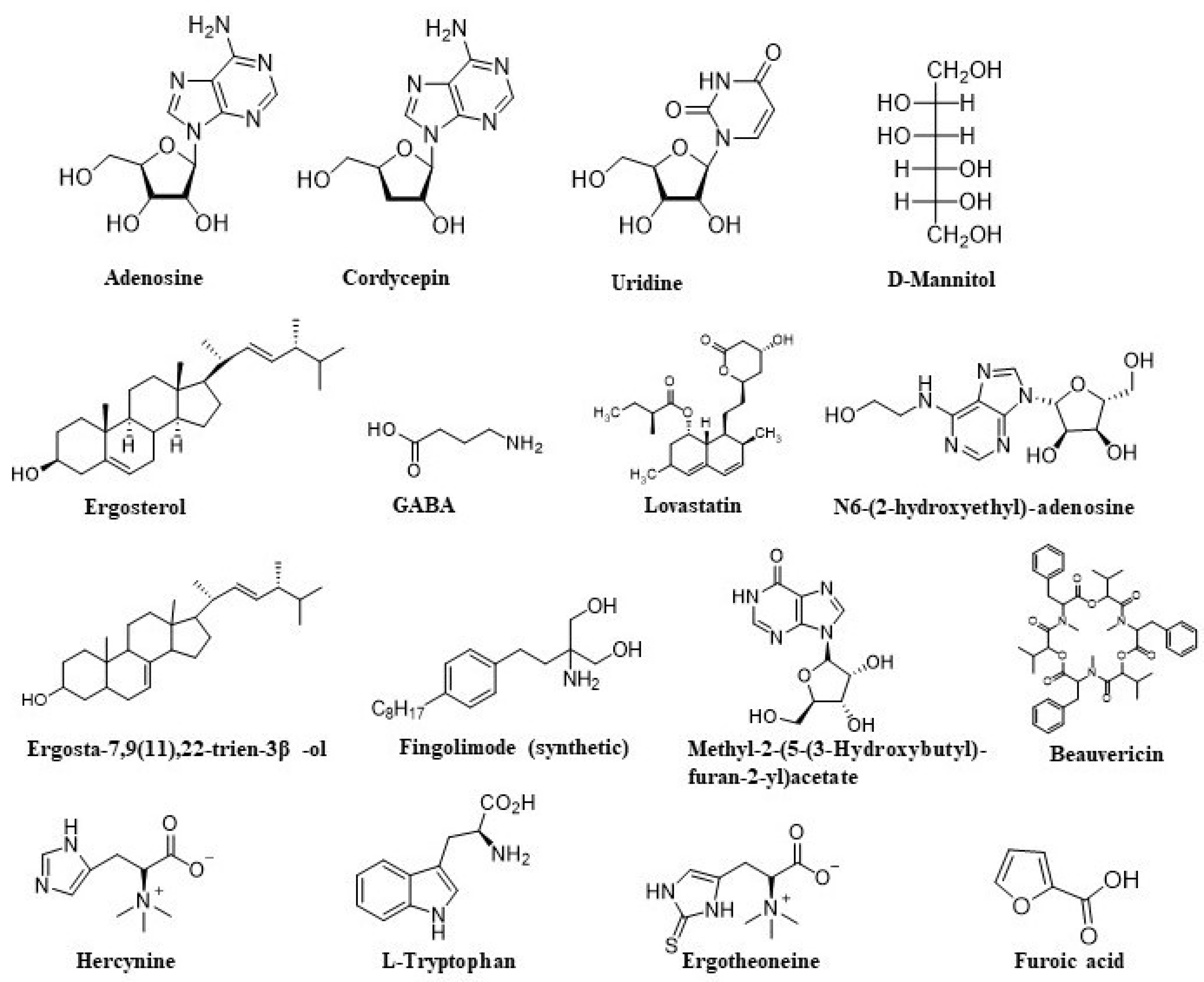 Nutrients 16 00102 g001