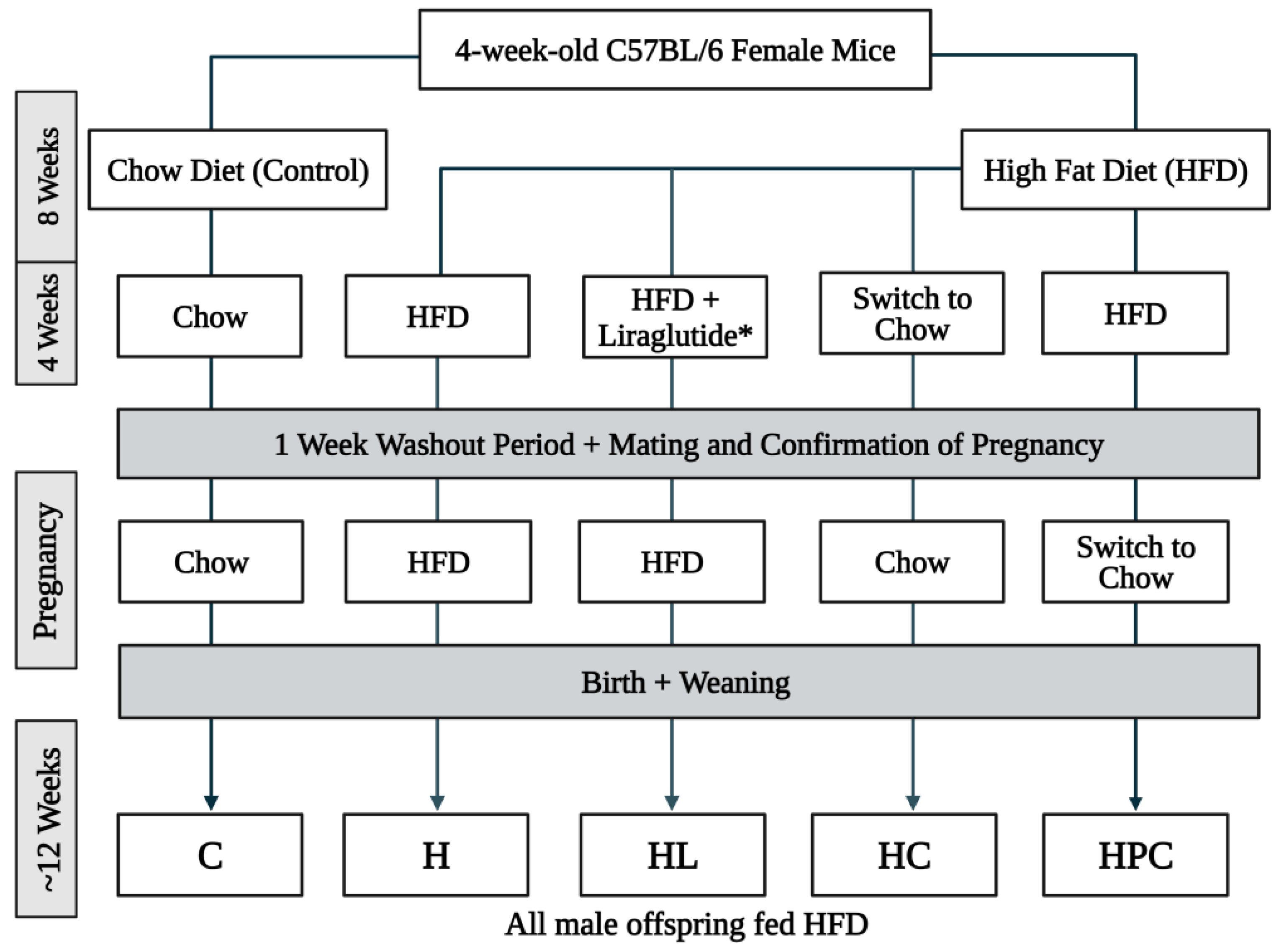 Nutrients 16 00109 g001