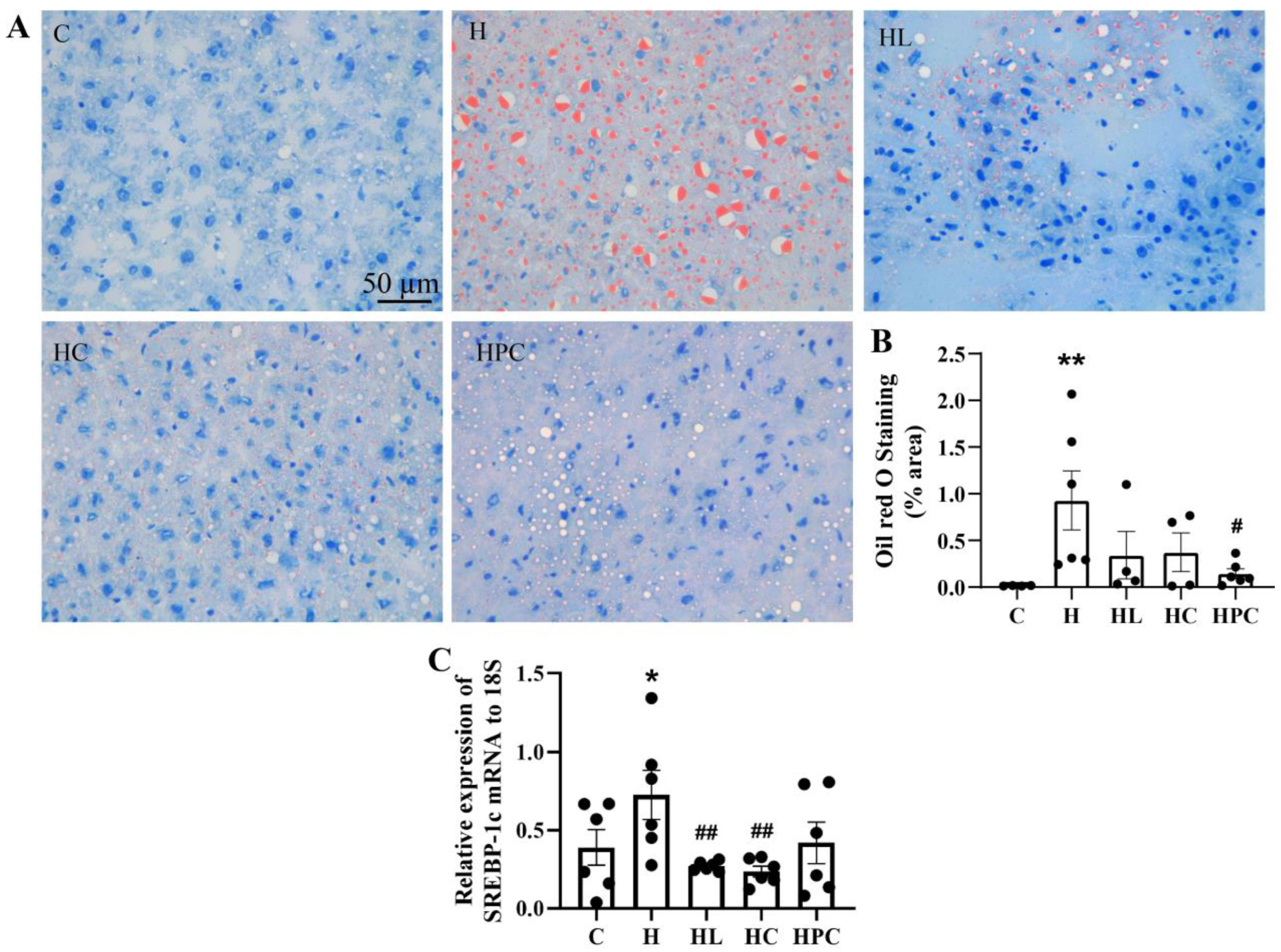 Nutrients 16 00109 g002