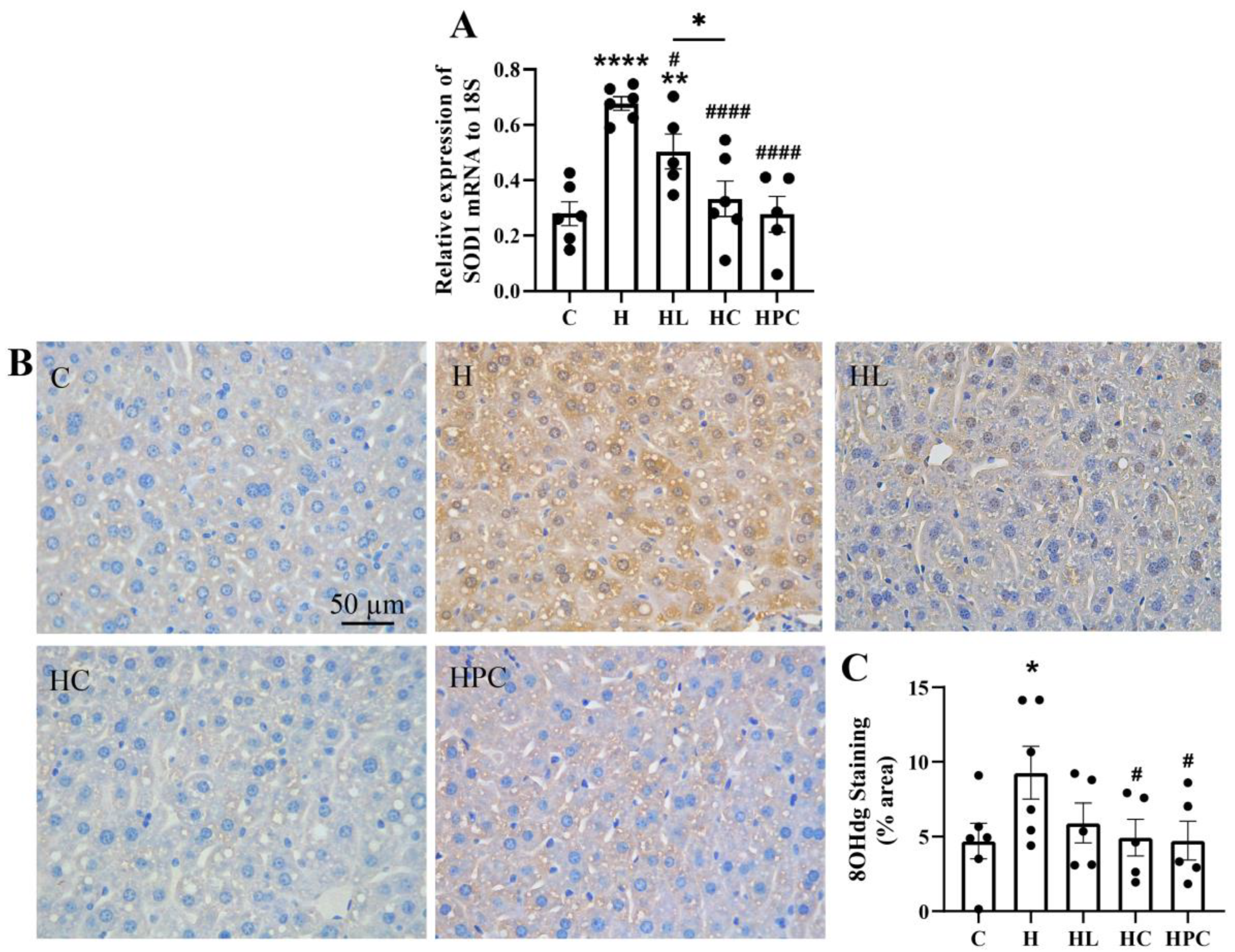 Nutrients 16 00109 g004